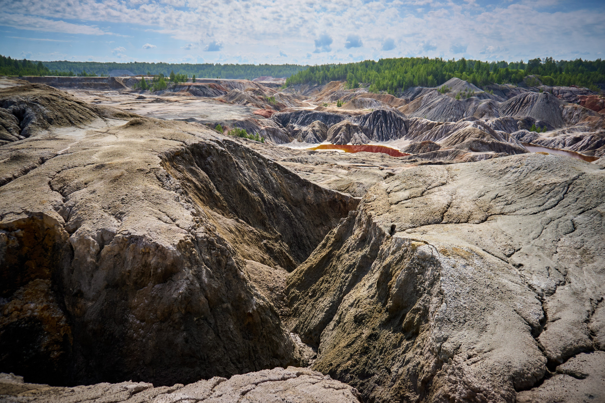 Репортаж/Портреты. …