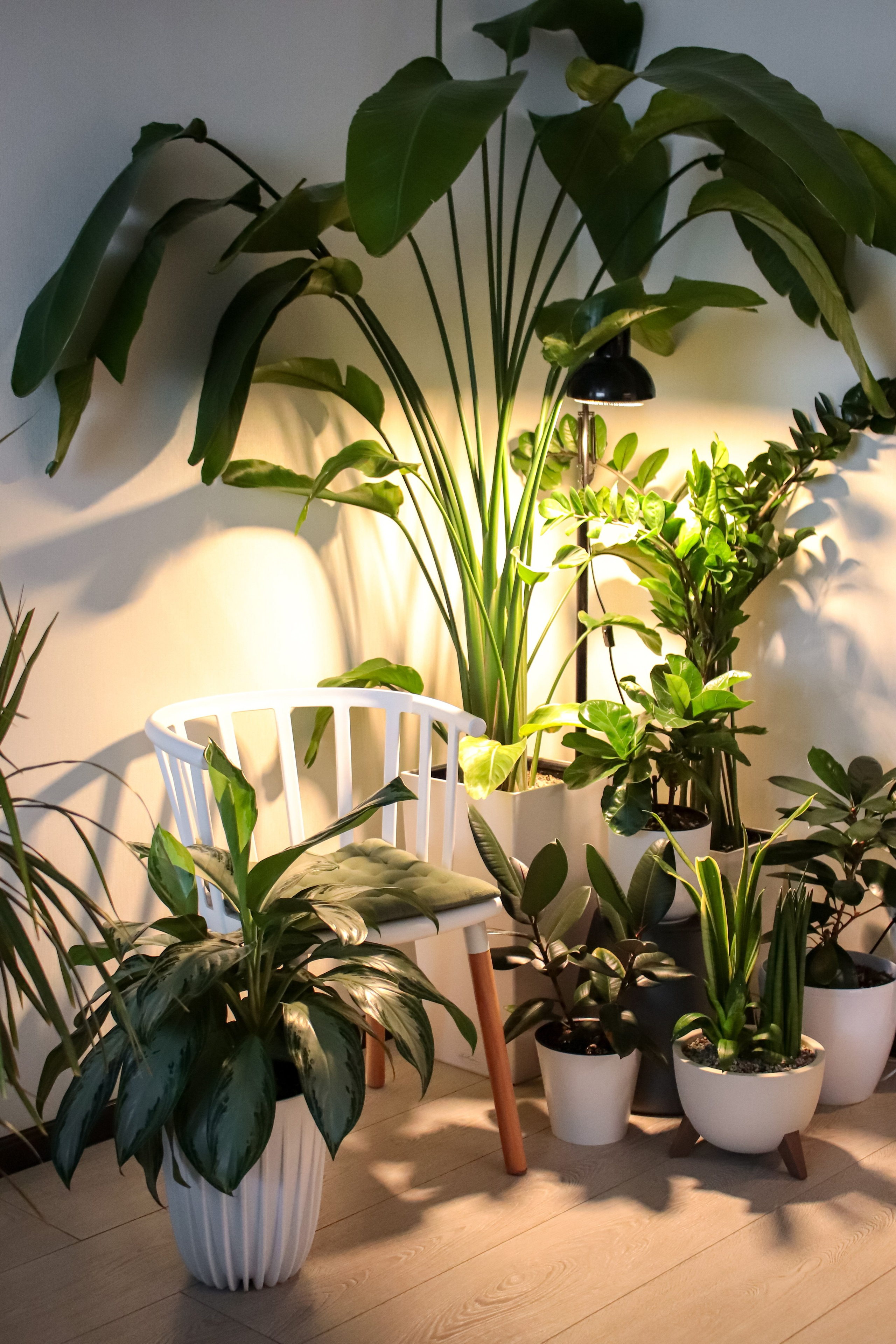 Контент съёмка для фитодизайнера. Фотограф Химки Анна Татарских