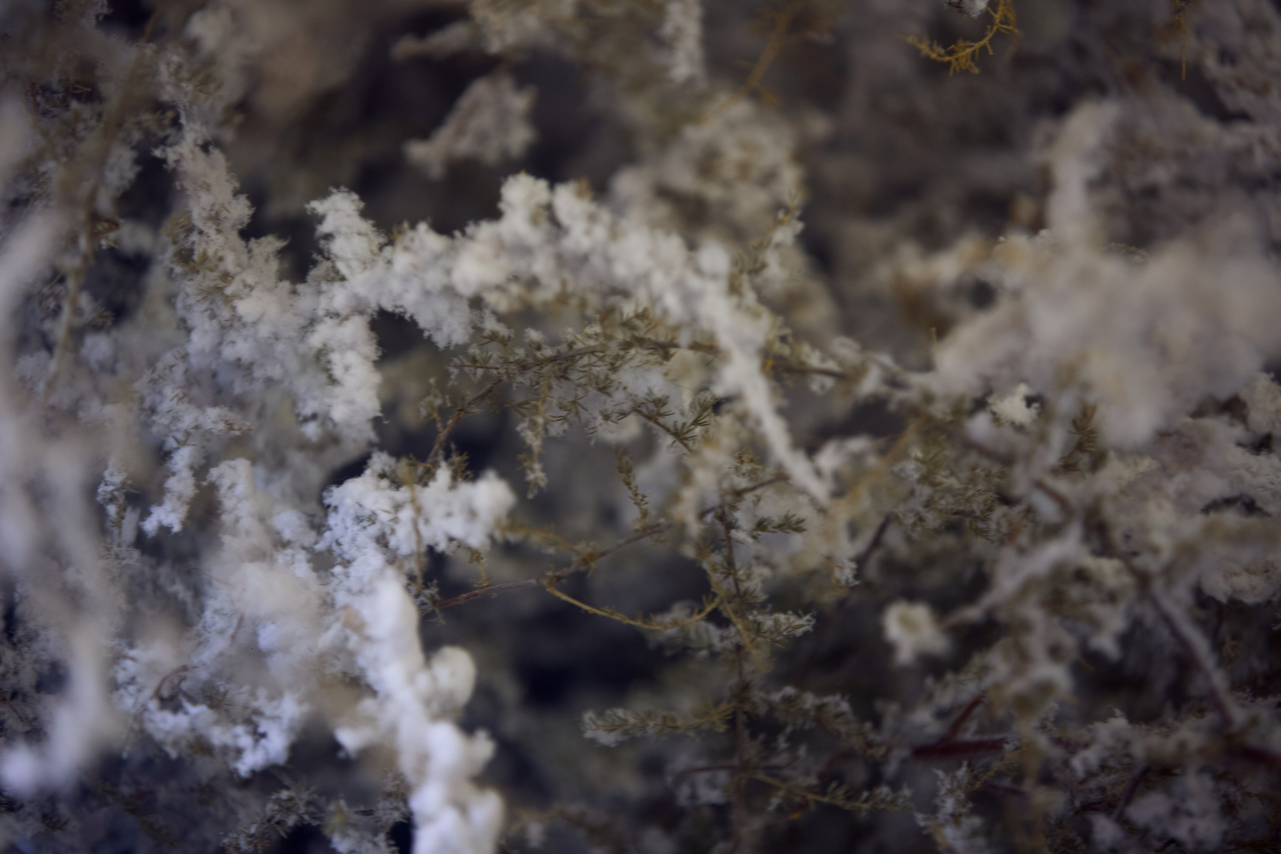 ART-HAOS. Фотограф видеограф в Москве и Московской области Саша Секрет