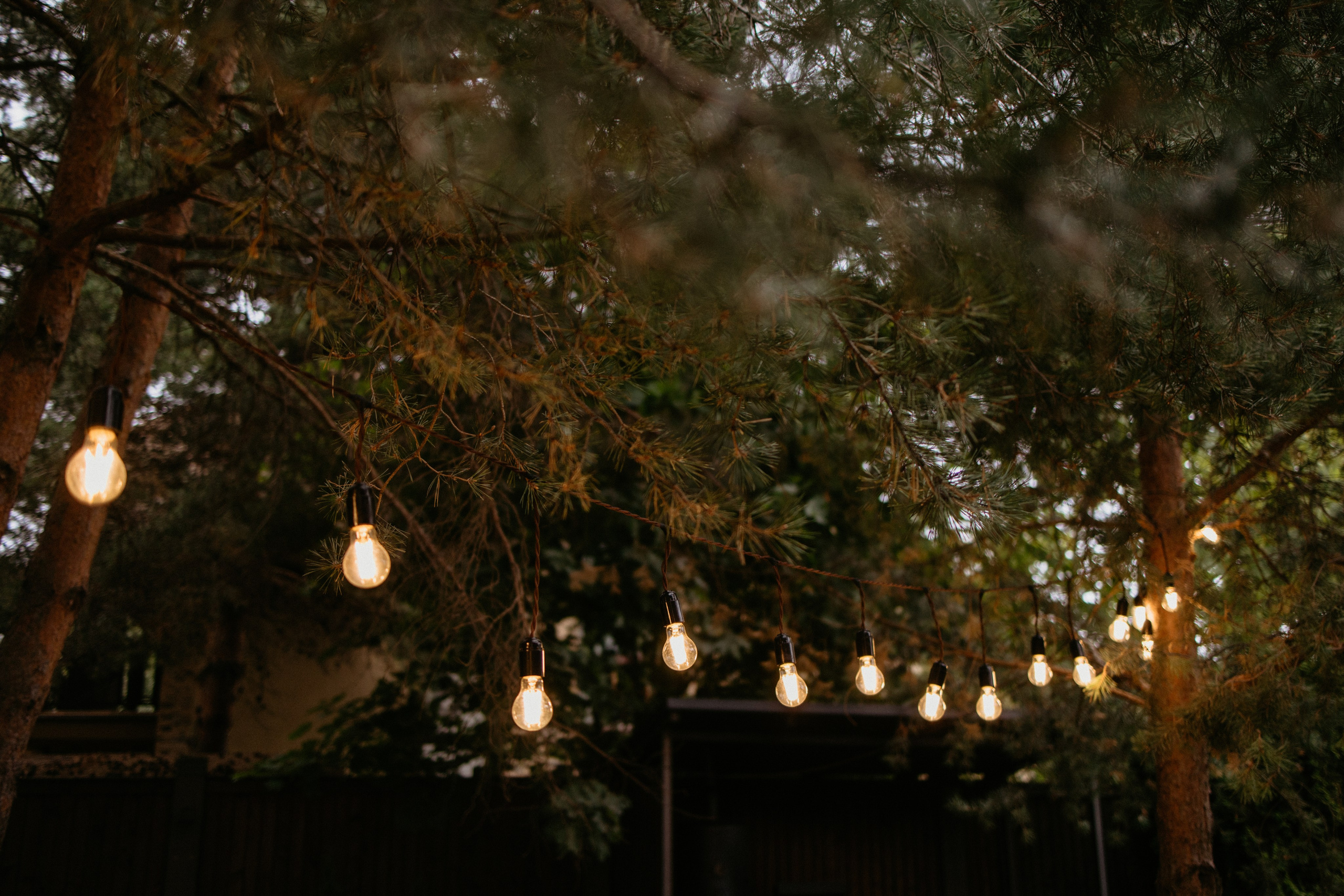 Сева & Таня | DELICE CHALET. Свадебный фотограф в Минске Владислав Бабич