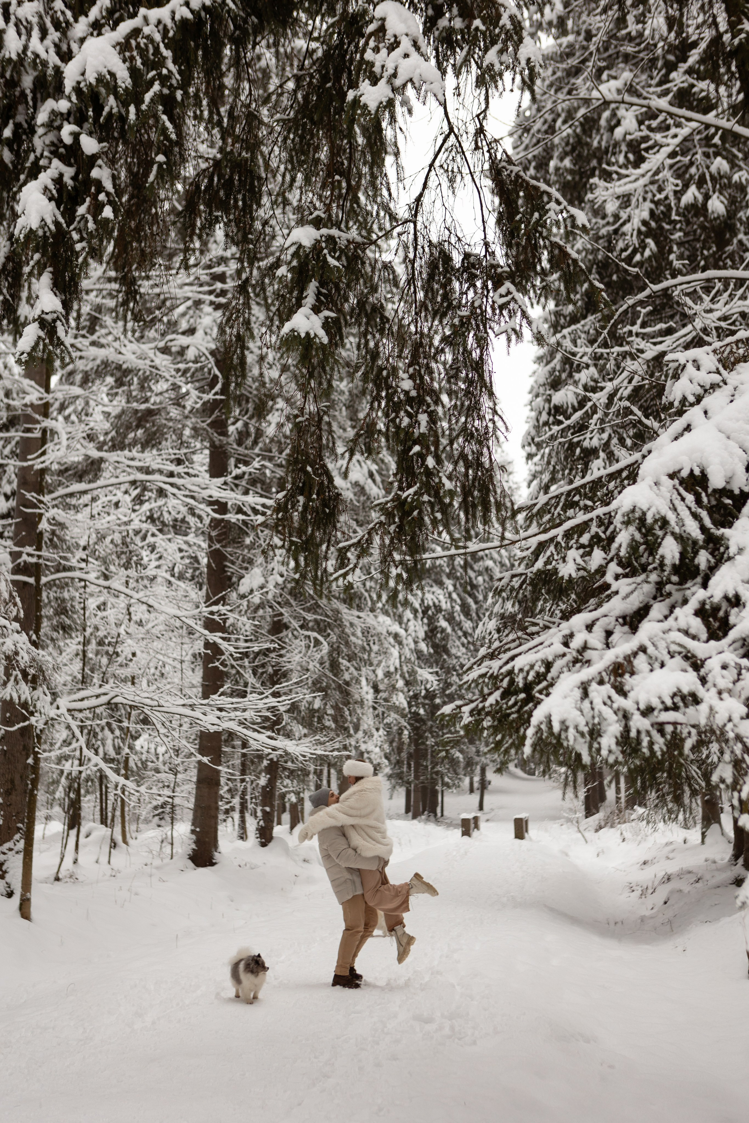 Новогодняя фотосессия с собачками в шуваловском парке. Свадебный фотограф в СПБ | Санкт-Петербурге Анастасия Рахимгулова
