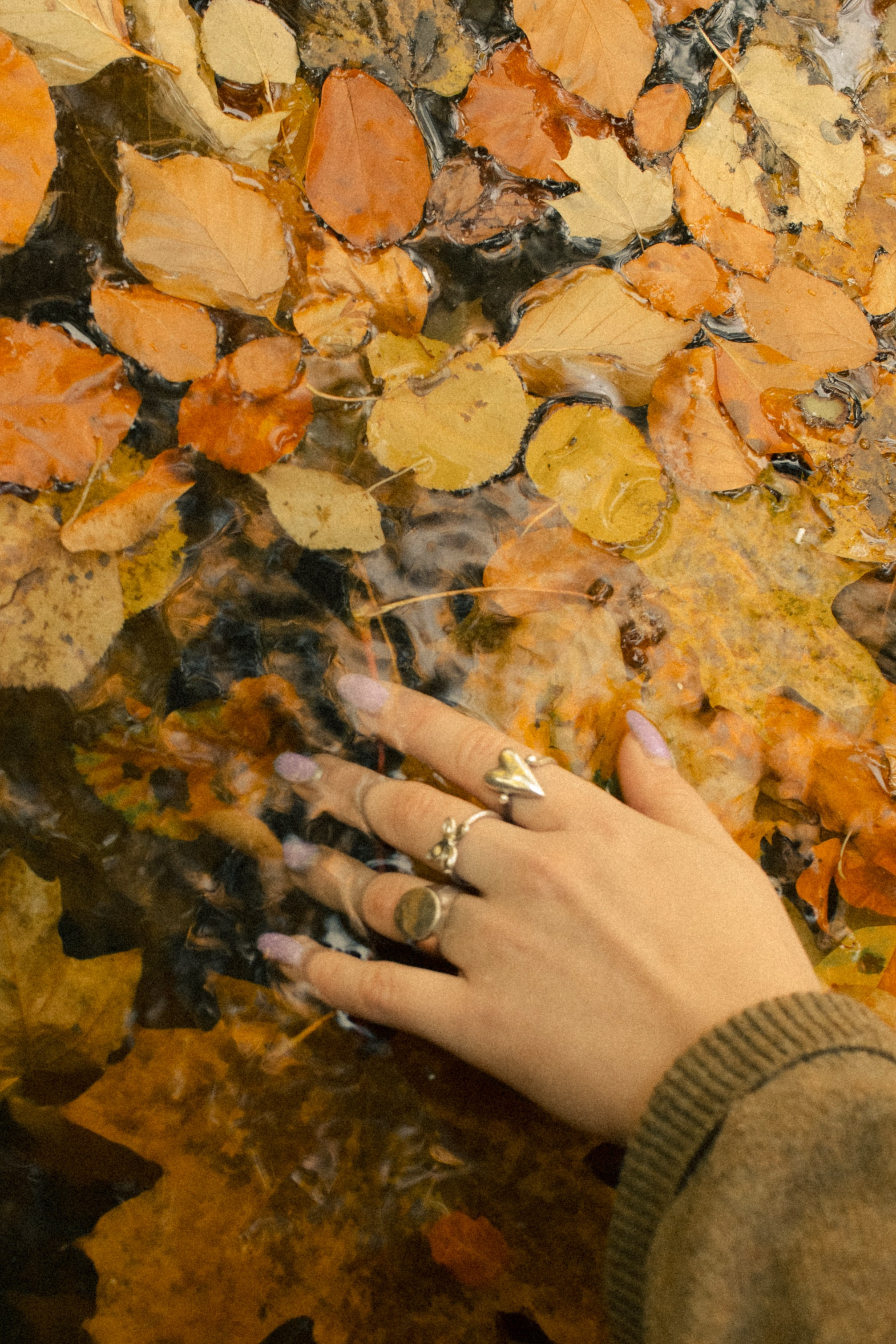 Фотопрогулка в парке Калининград. Портретный фотограф в Калининграде Рита Холодова