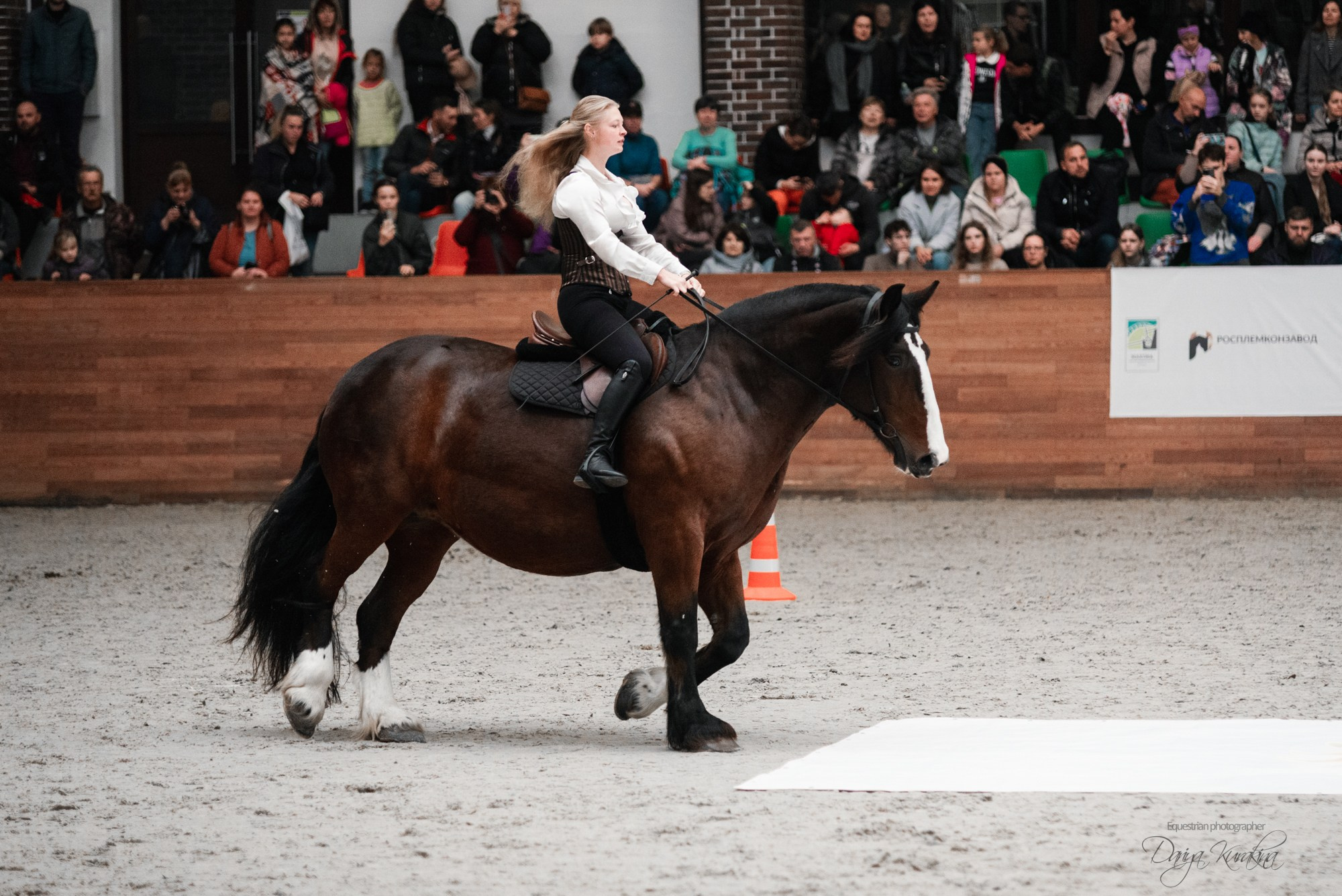8-я международная выставка Конная Россия. Конный фотограф Куракина Дарья • Фотосессии с лошадьми