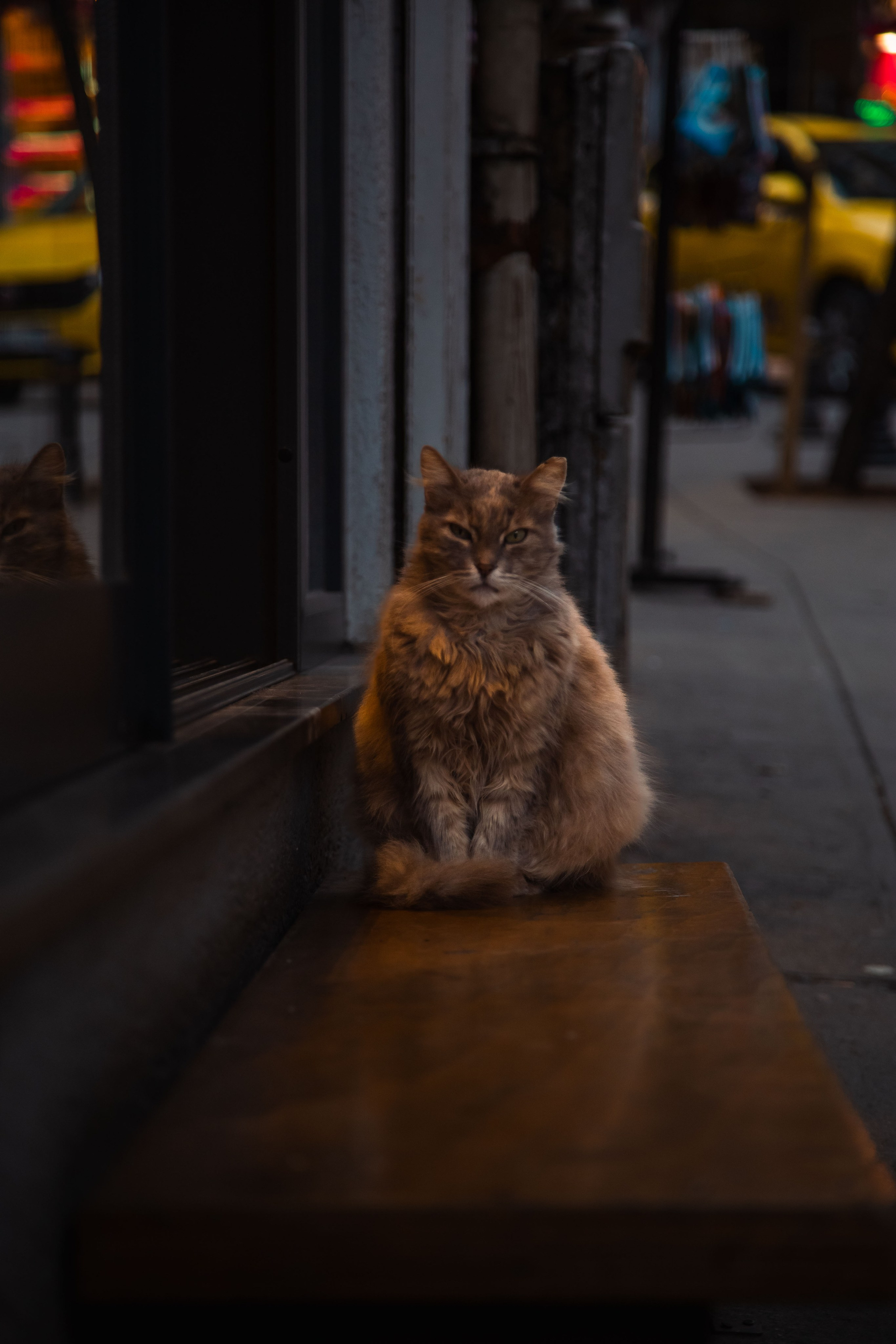 Istanbul. Dmitriy [KCCC] is a pretty cool photographer