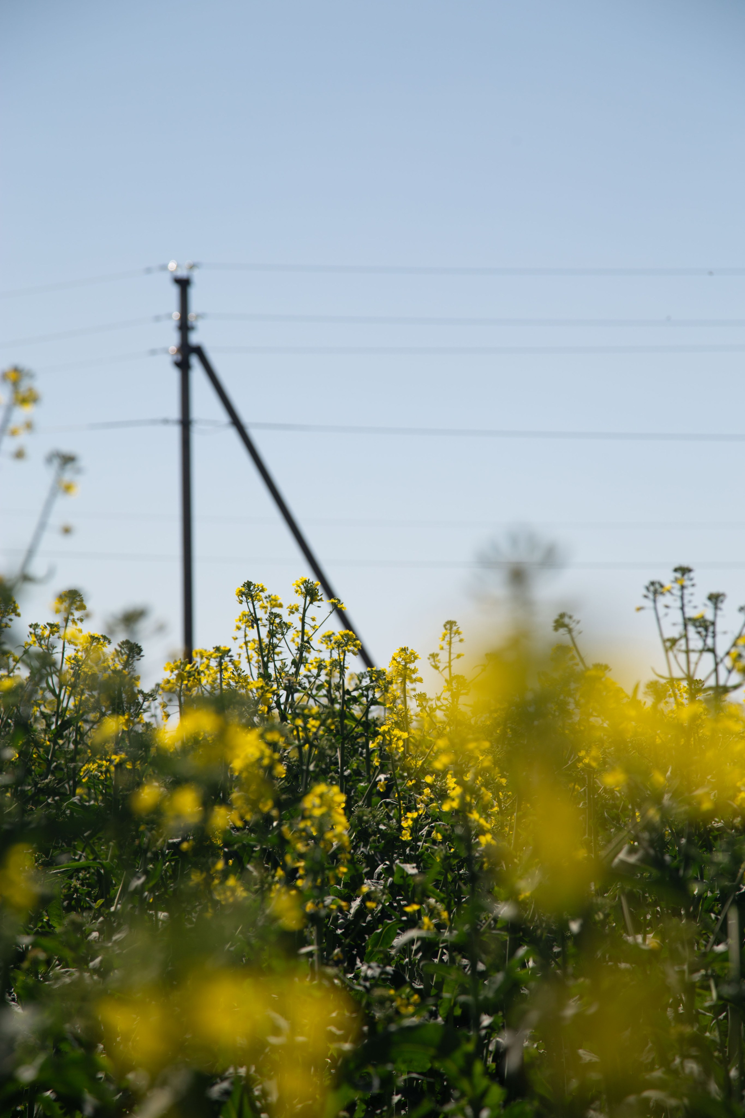 Дагестан 1. Dmitriy [KCCC] is a pretty cool photographer