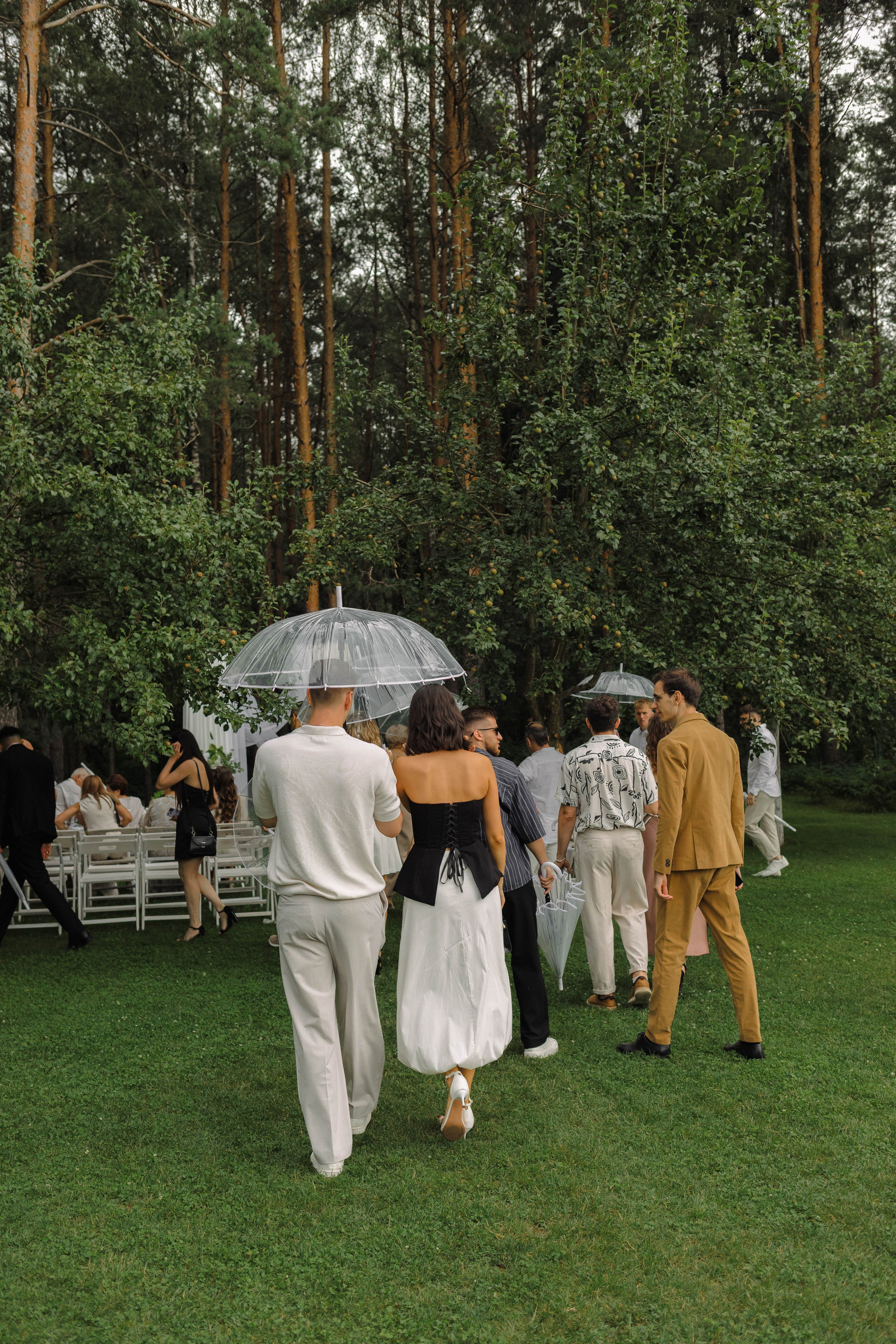 Зеленый сад