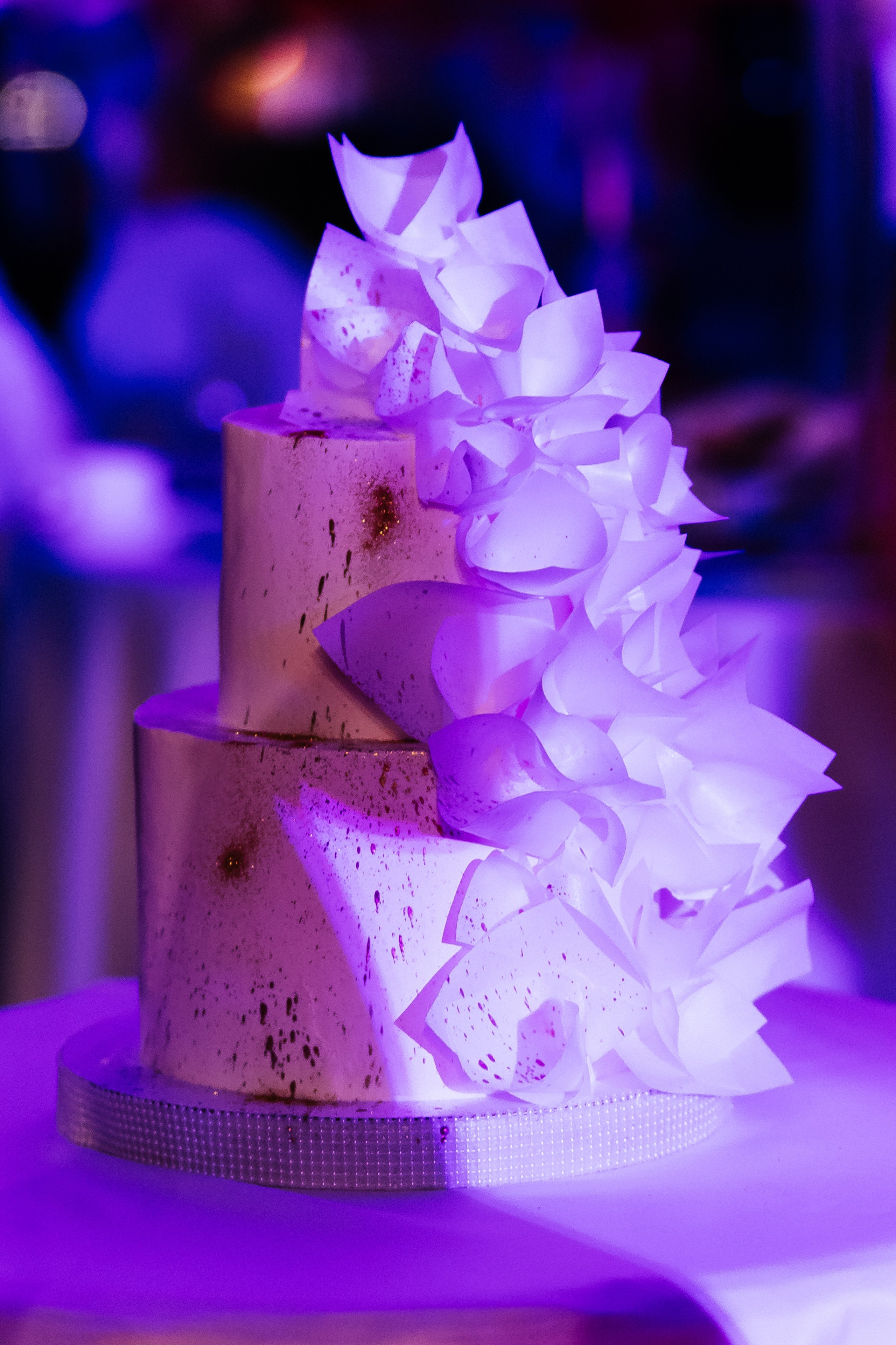 EVENT. Фотограф Максим Мельников