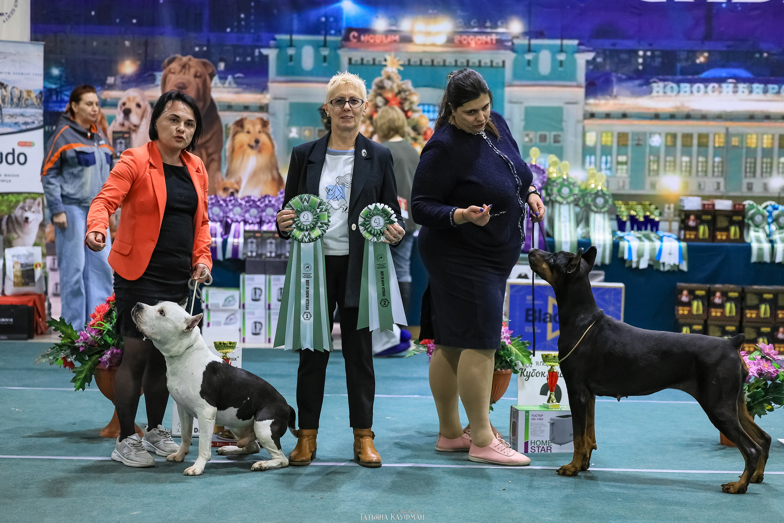 6-7.12.25 — 1-4 Национальные выставки собак в Новосибирске (2х рейтинговые). Фотограф Анималист из Новосибирска Татьяна Кауфман
