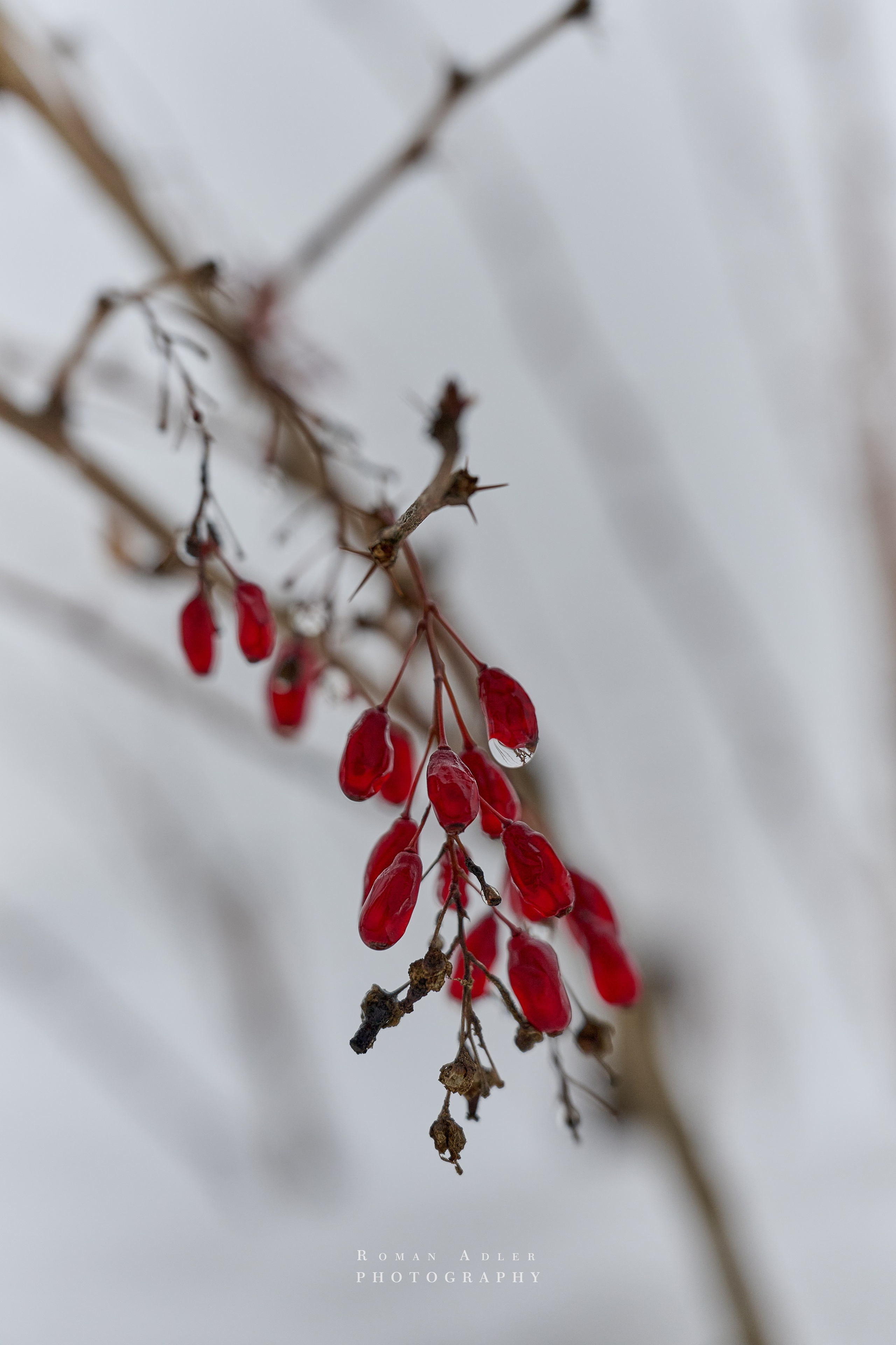 Тобольск. Март 2025. Фотограф Роман Адлер