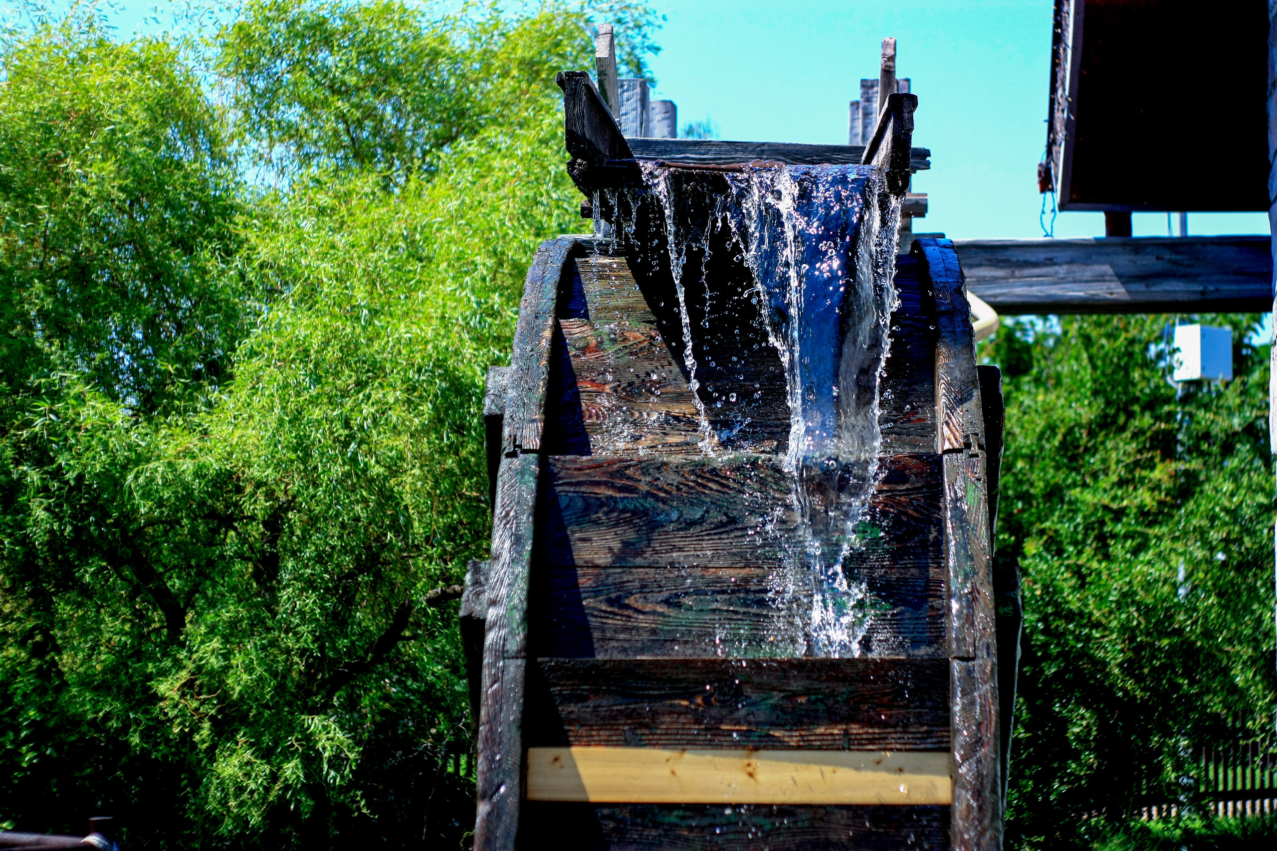 Первые кадры. Сочи — парк. Фотограф Роман Адлер