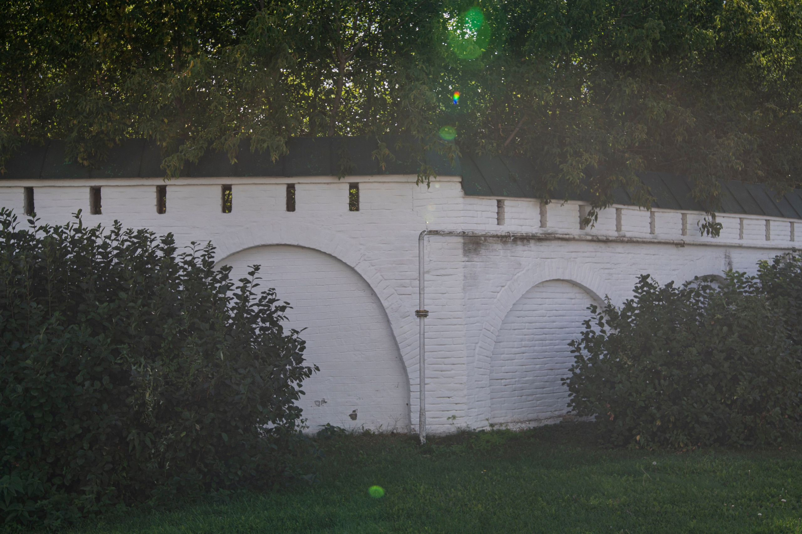 Муром. Сентябрь 2022. Фотограф Роман Адлер