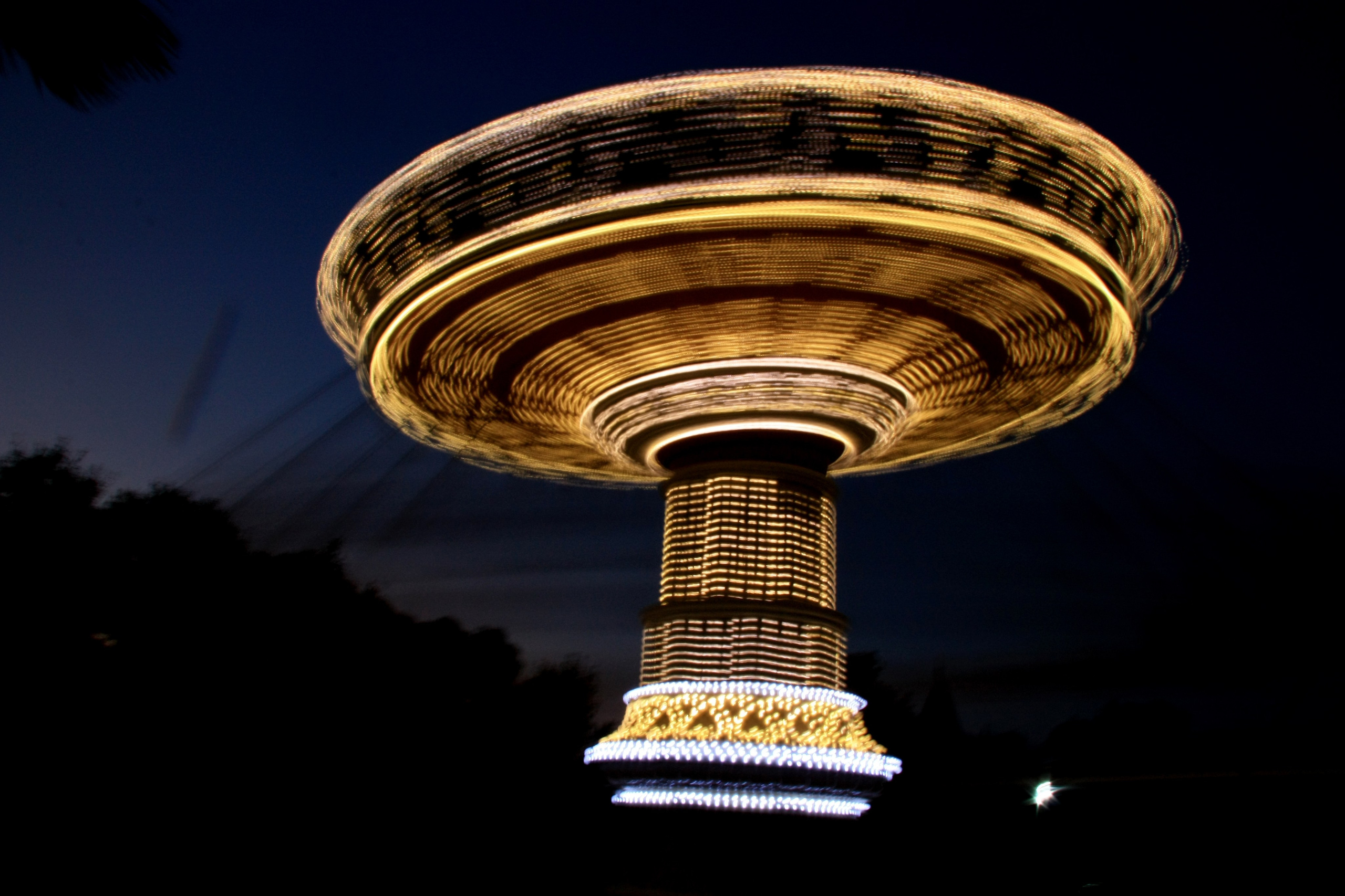 Первые кадры. Сочи — парк. Фотограф Роман Адлер