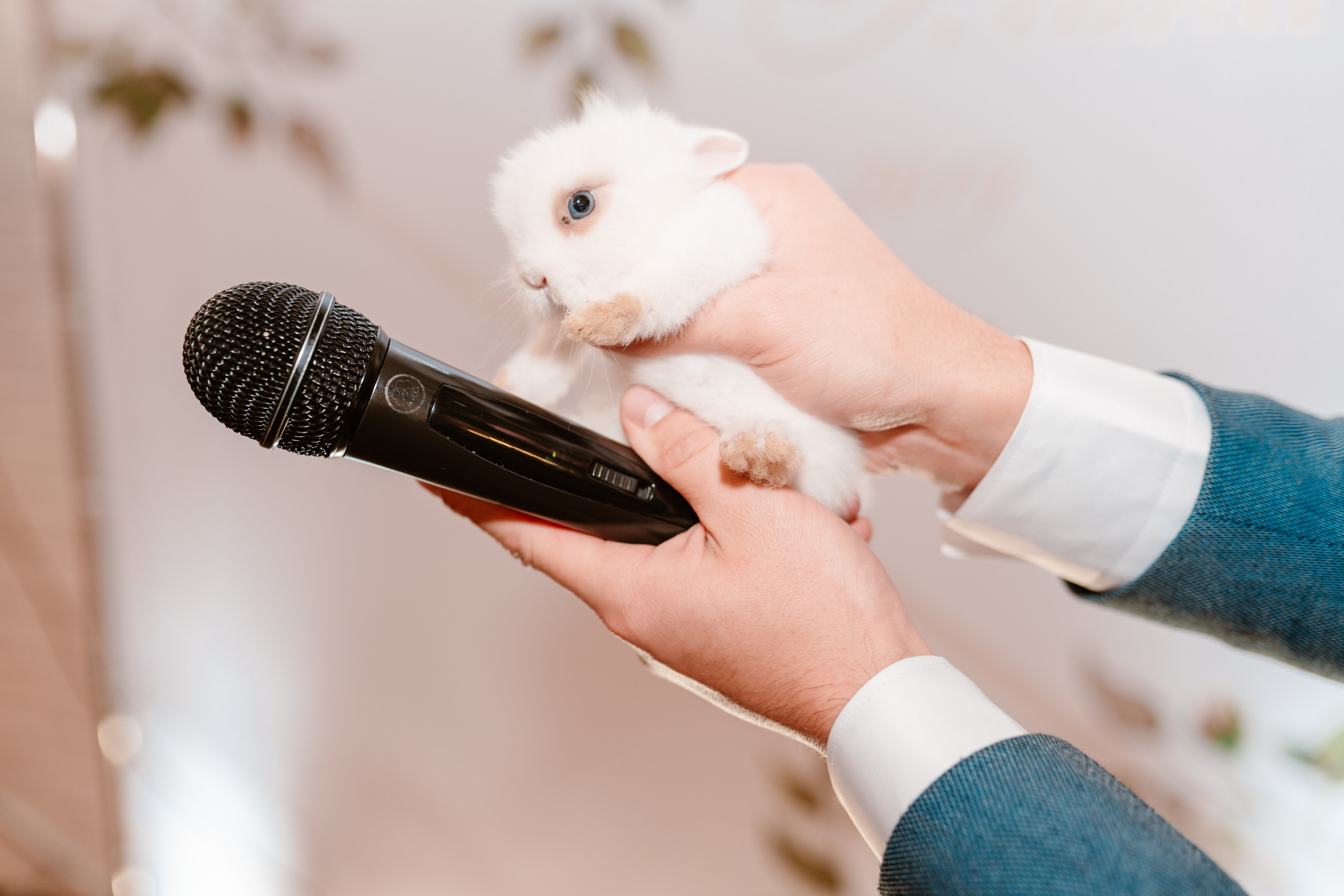 Айдар и Элина. Свадебный фотограф Уфа, Руслан Бикташев