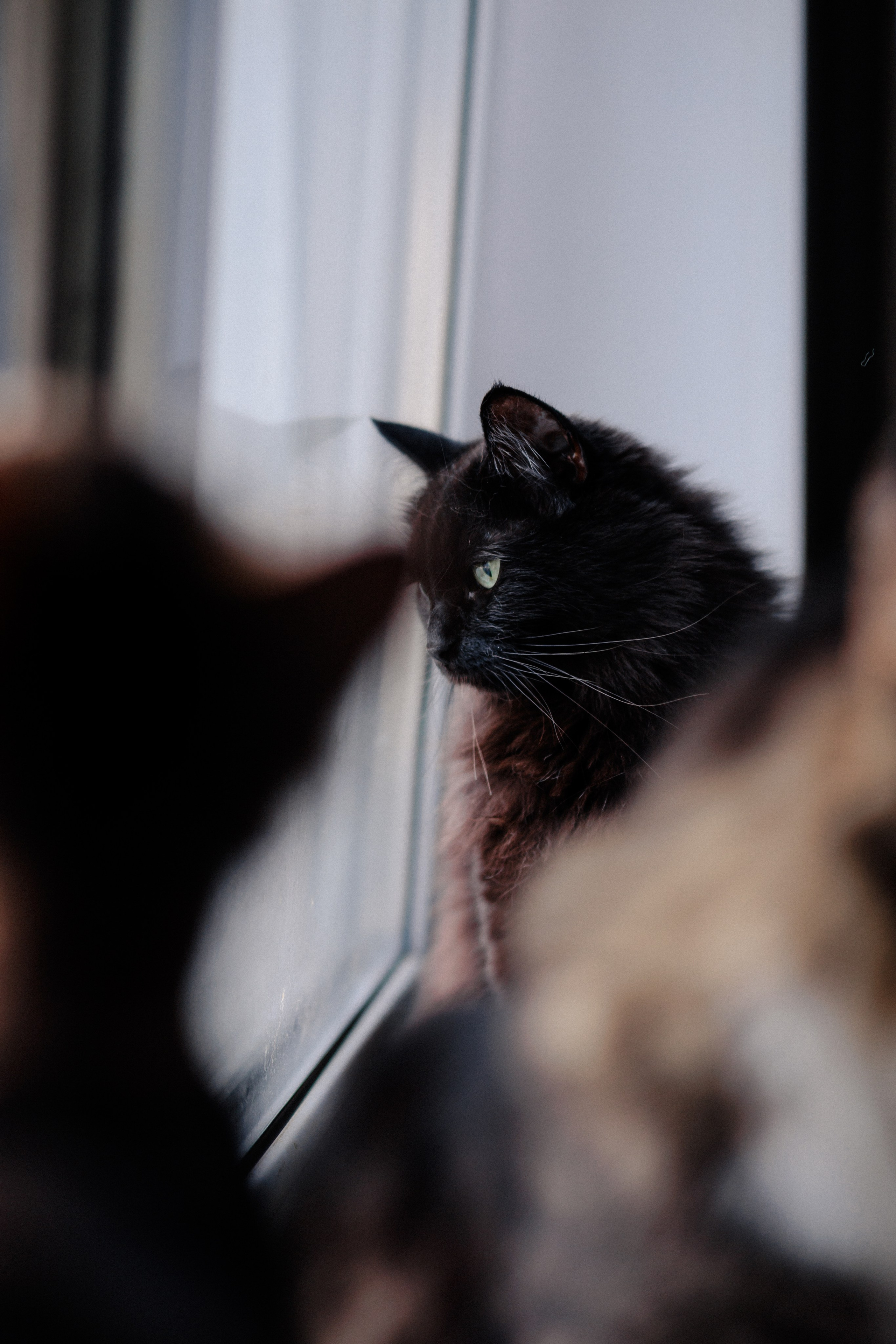 Фотограф в Санкт-Петербурге Алёна Губинская