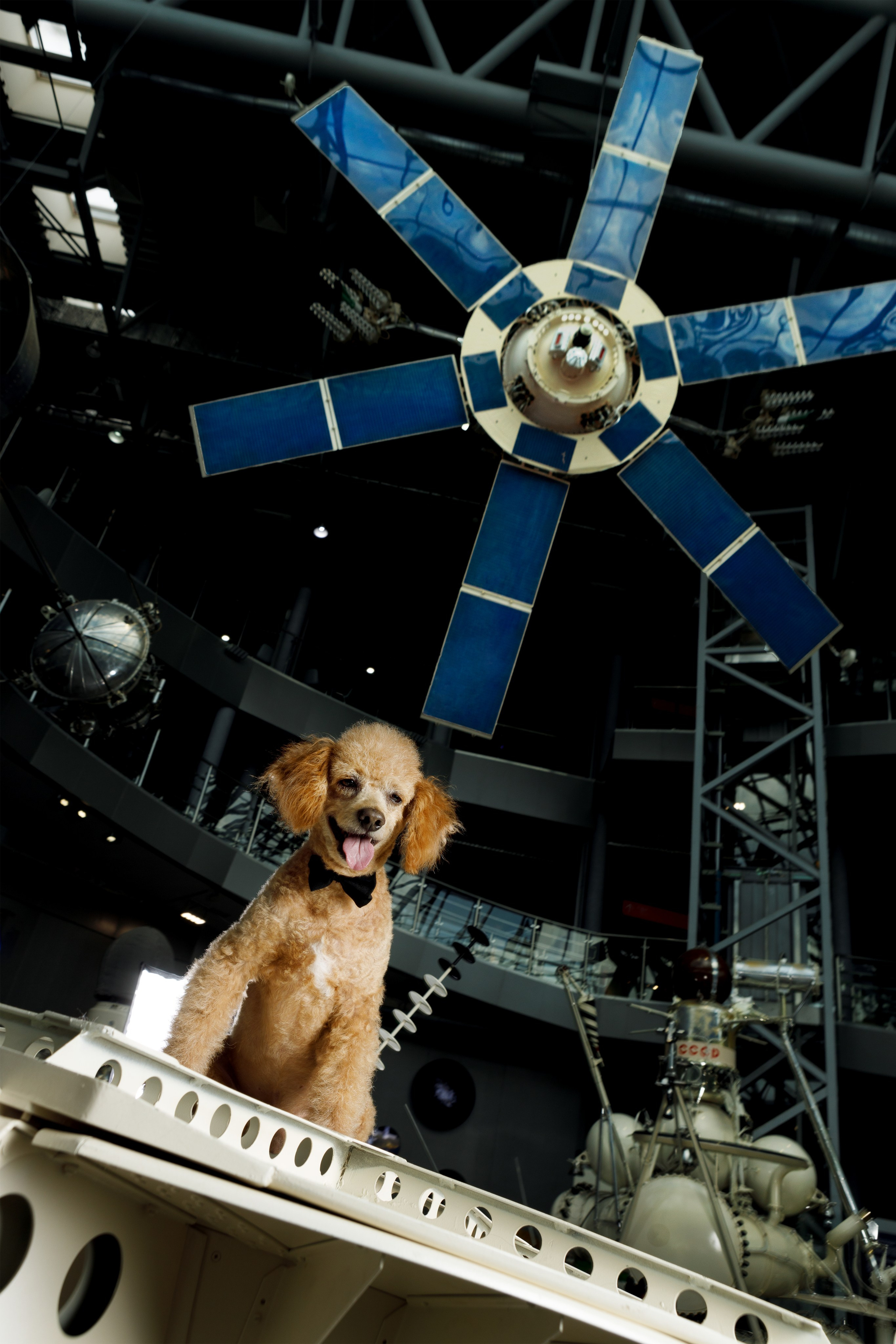 Фотопроект "На пути к своей звезде". Фотограф Михаил Стенин