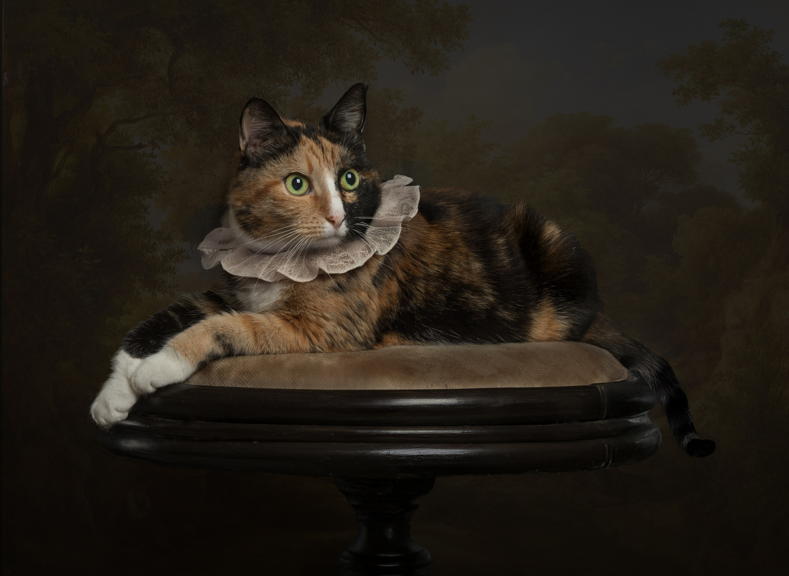 Фотограф Наталья Туева FineArt съёмка