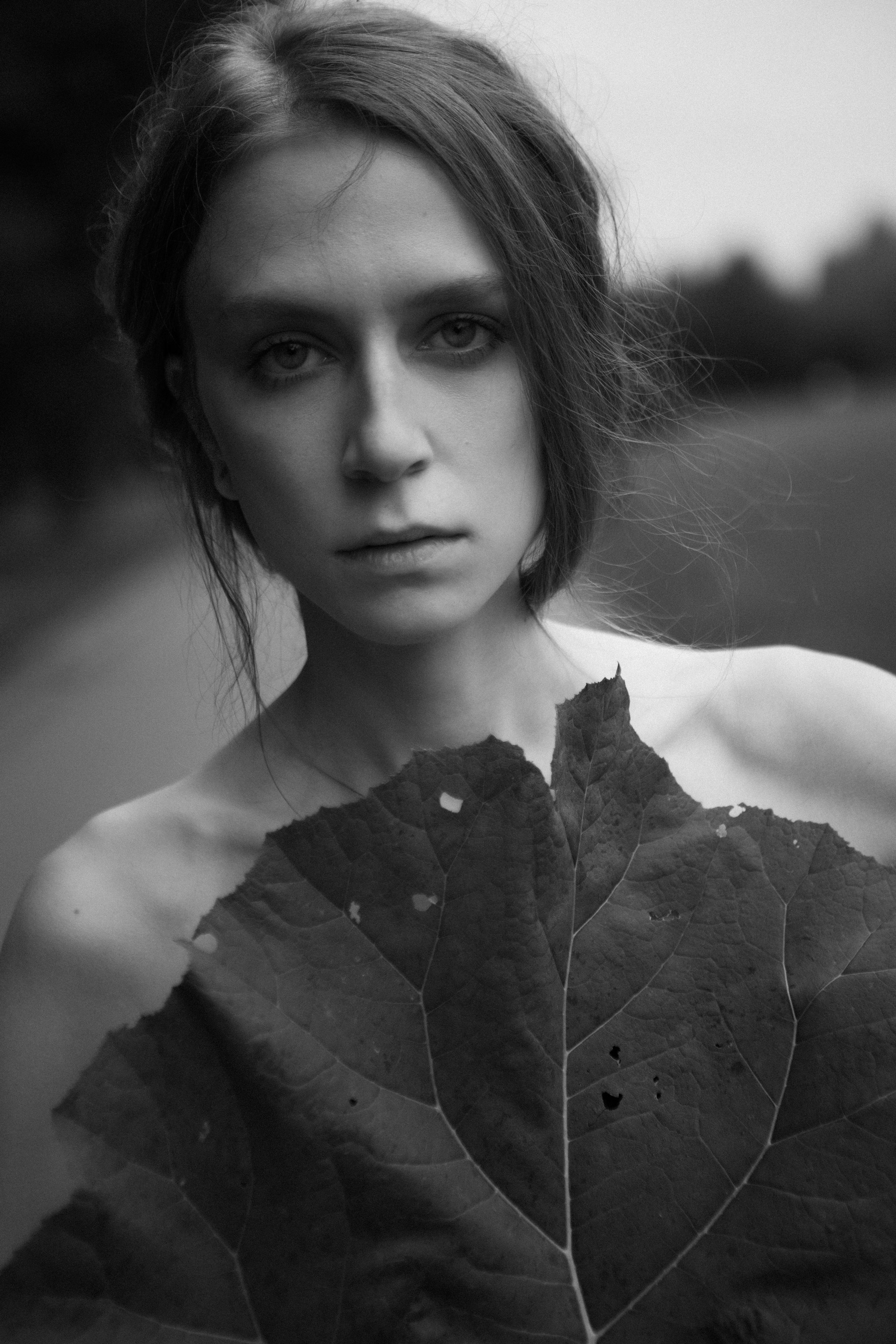 Коммерция и модельные тесты