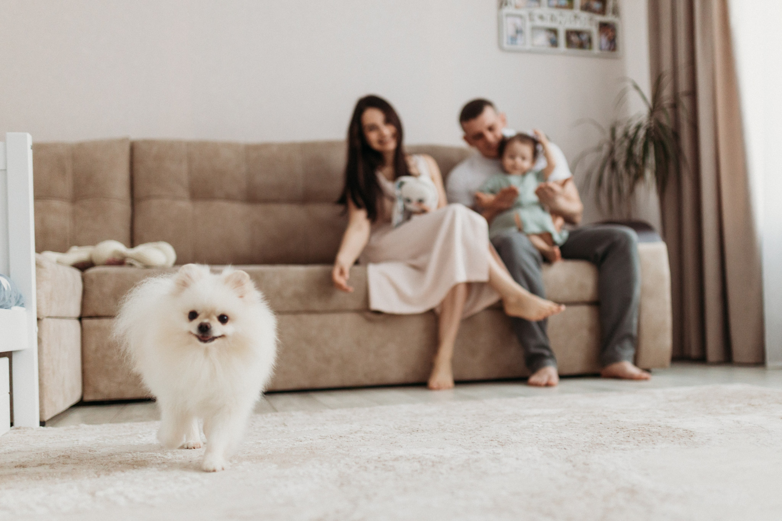 Домашняя фотосессия День Рождения Василисы. Фотограф Тверь. Свадебные, семейные, индивидуальные фотосессии