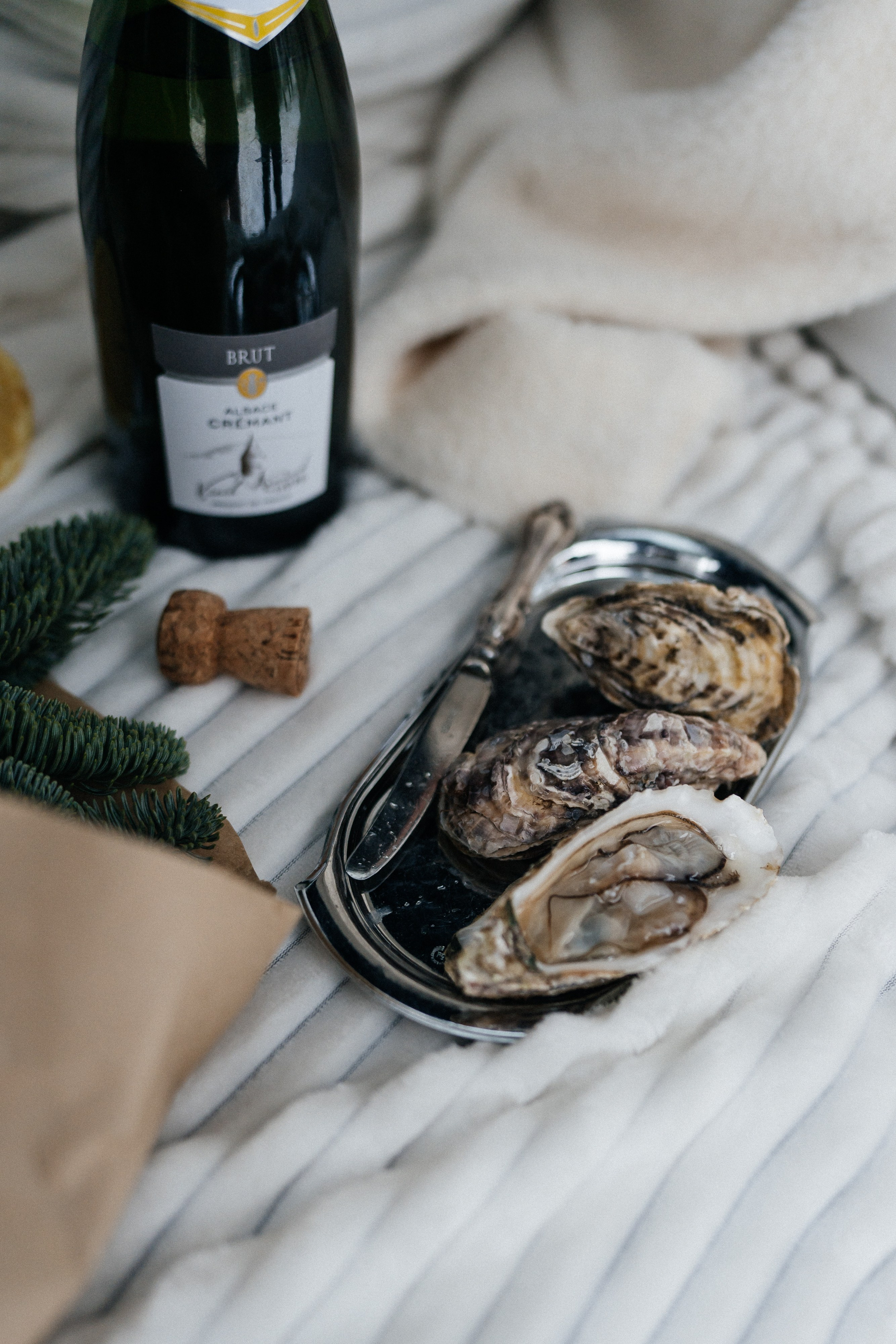 Катя в Линдуловской роще. Семейный фотограф в Санкт-Петербурге Виталия Белова