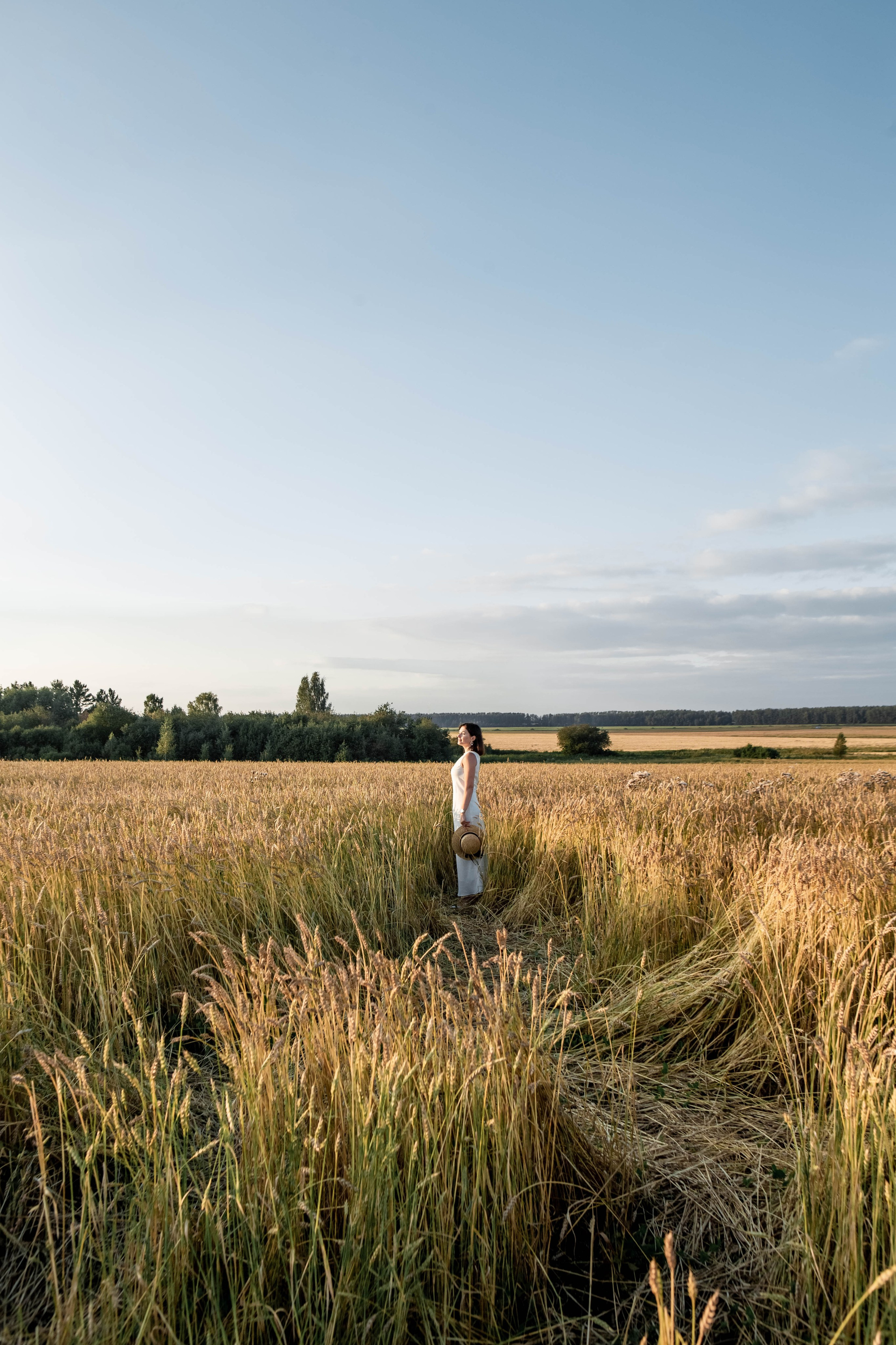Пшеница на закате. Фотограф Екатерина Голицына