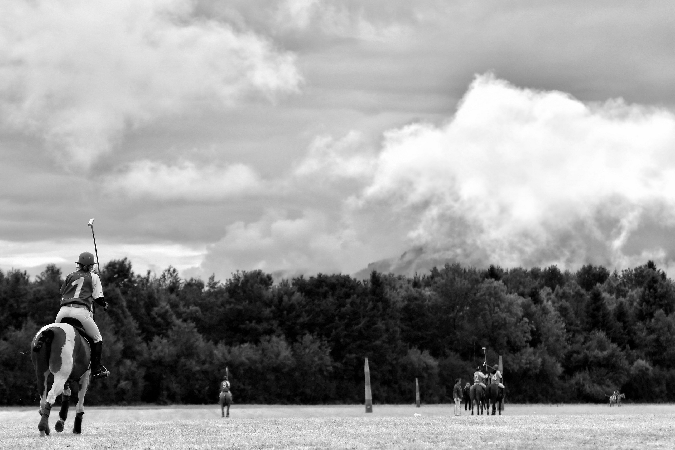 Polo art photos. Art photos of horses — ARTUR BABOEV | Photographer