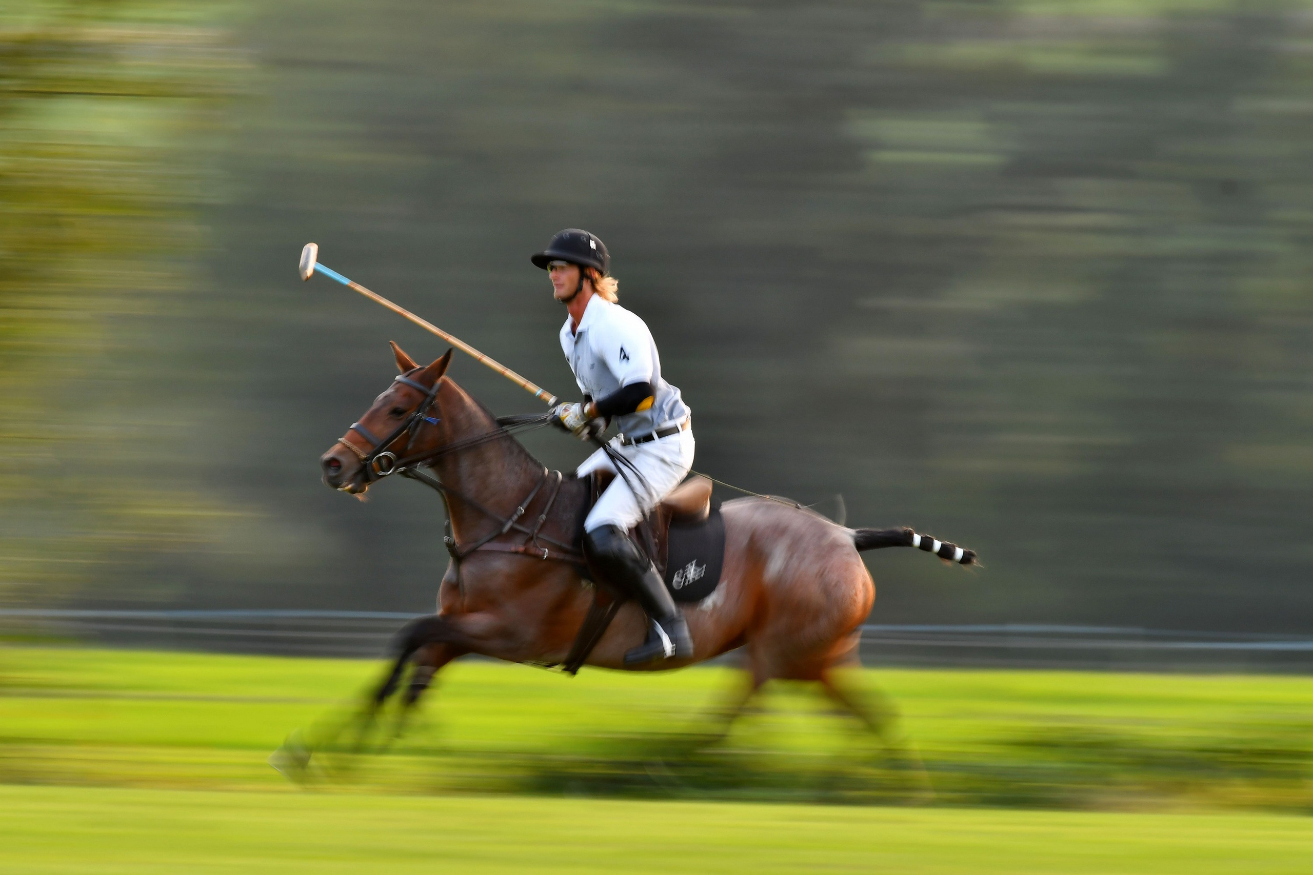 Polo art photos. Art photos of horses — ARTUR BABOEV | Photographer
