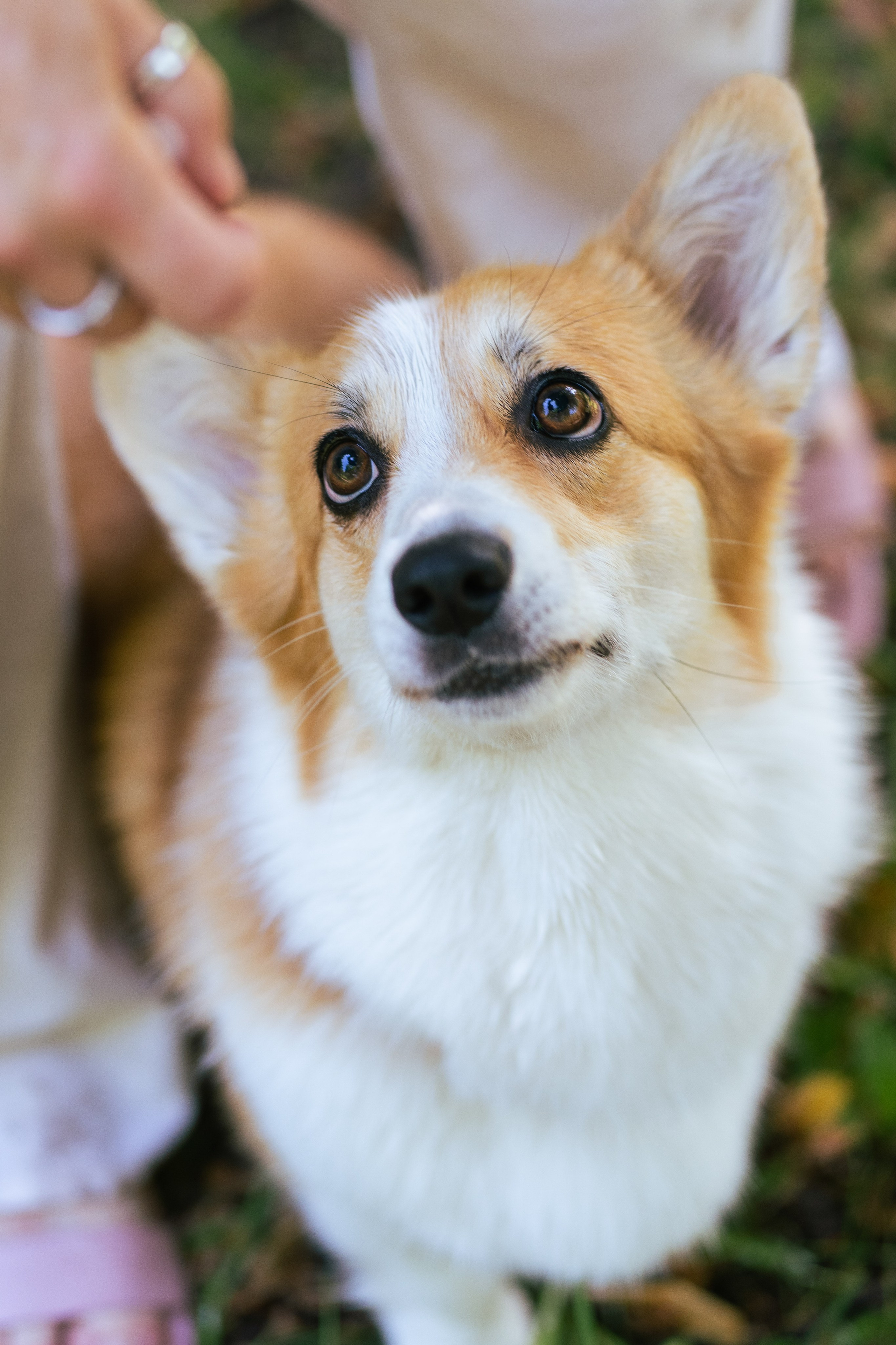 Ольга и коржики. Свадебный фотограф в Москве Анна Полушина