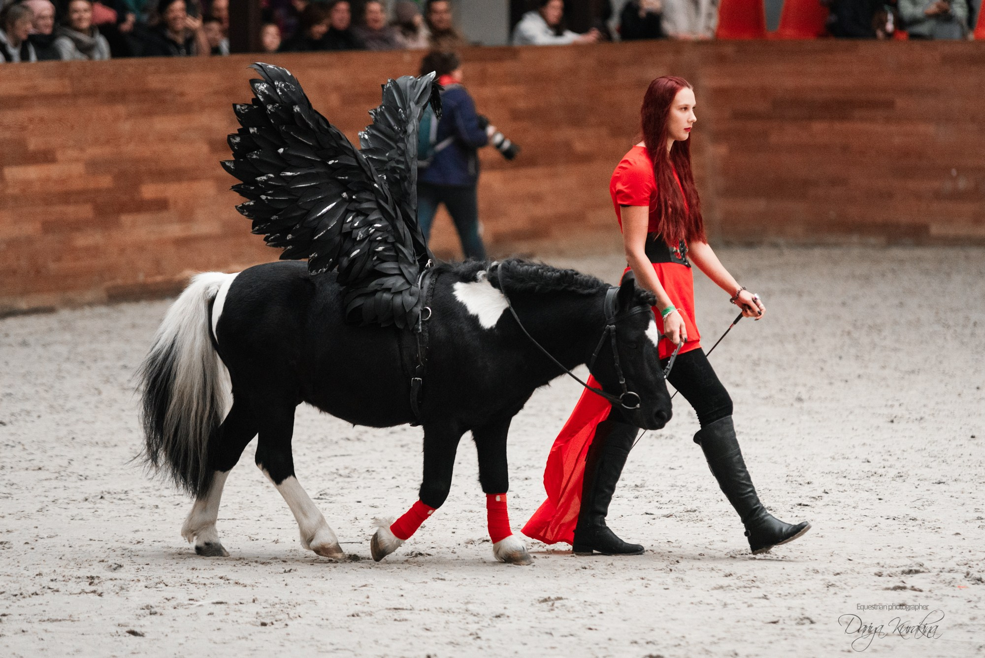 8-я международная выставка Конная Россия. Конный фотограф Куракина Дарья • Фотосессии с лошадьми