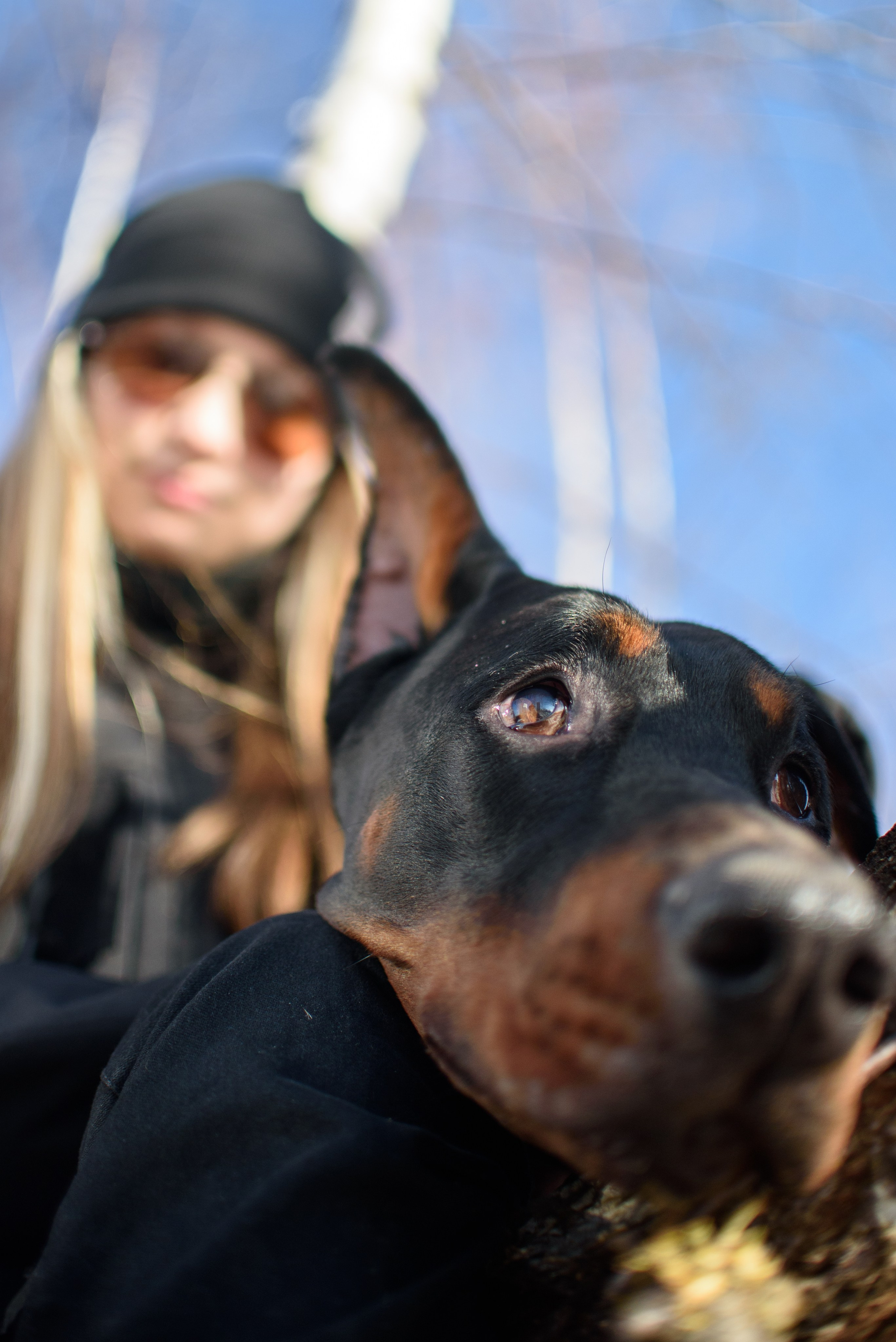 Фотосессию с любимым доберманом. Фотограф Макс Огурцов в Нижнем Новгороде