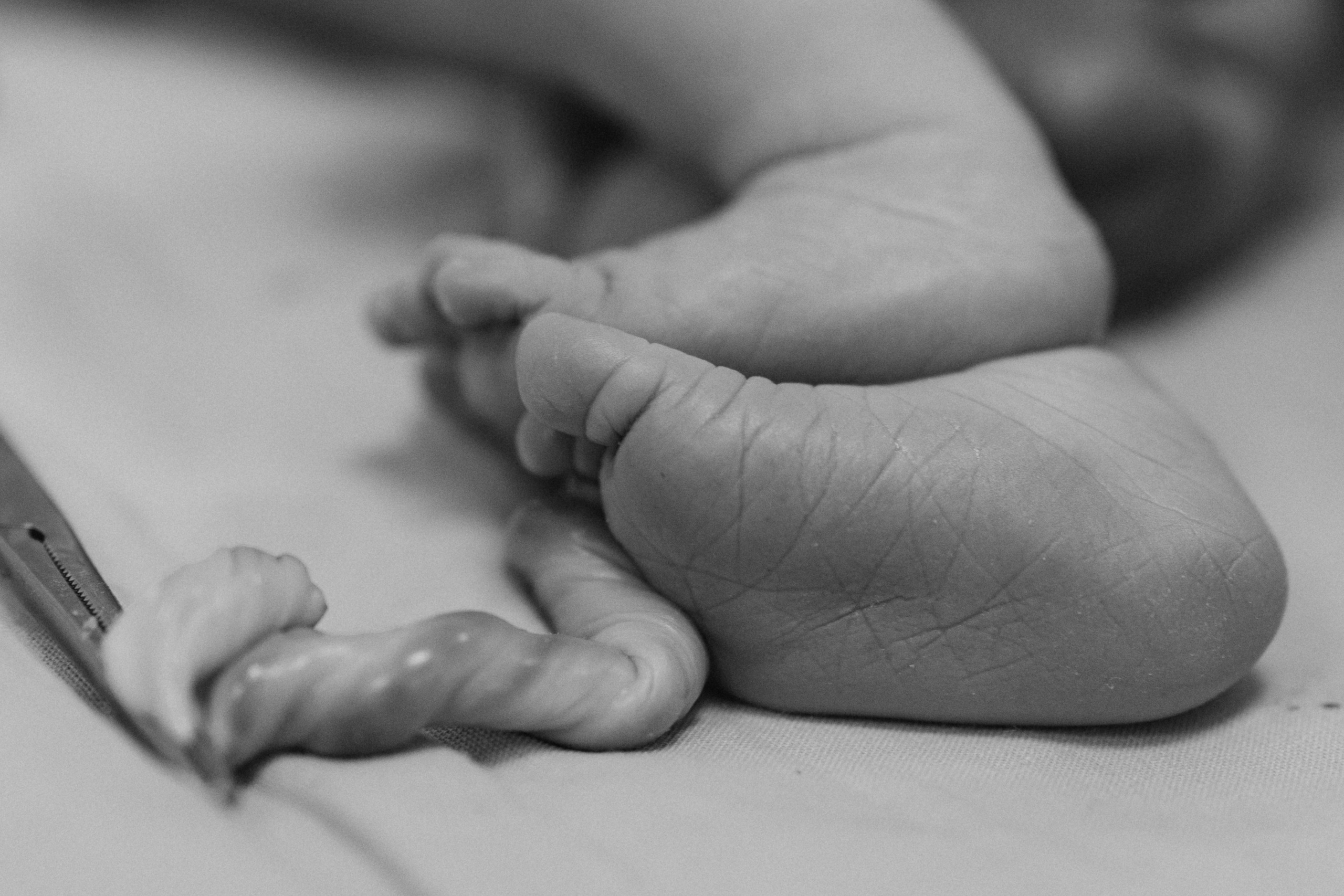 Рождение Владимира. Евгения Пелипас