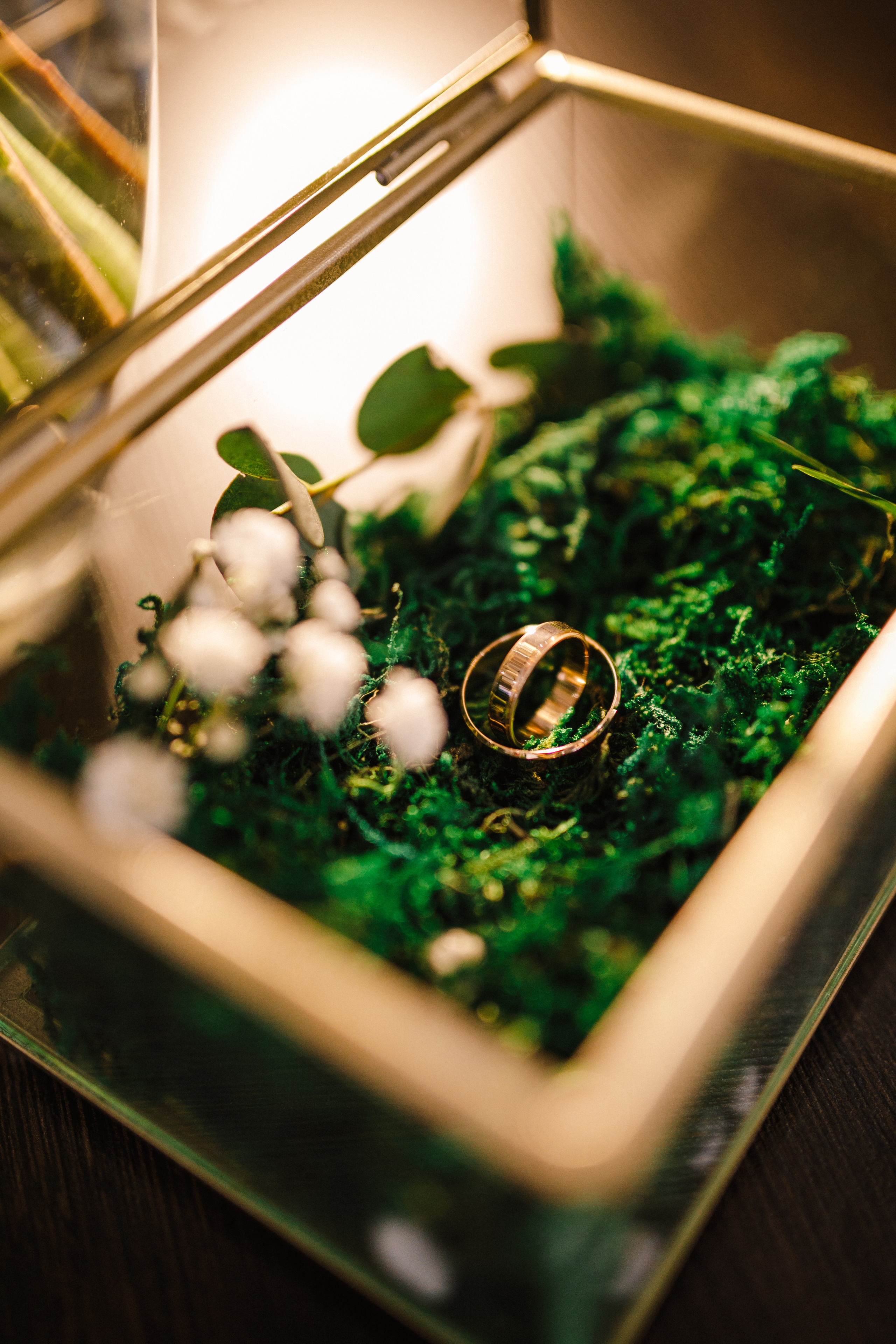 Диана + Александр. Роман Урумбаев фотограф Нижневартовск