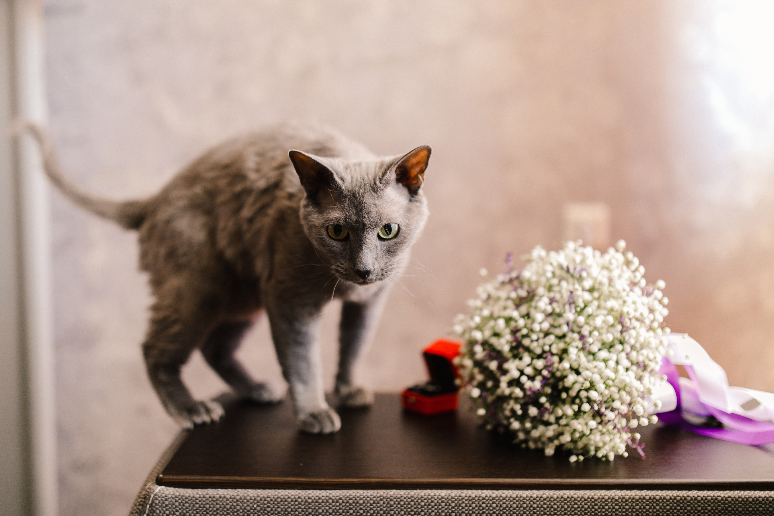 Вячеслав + Вероника. Роман Урумбаев фотограф Нижневартовск