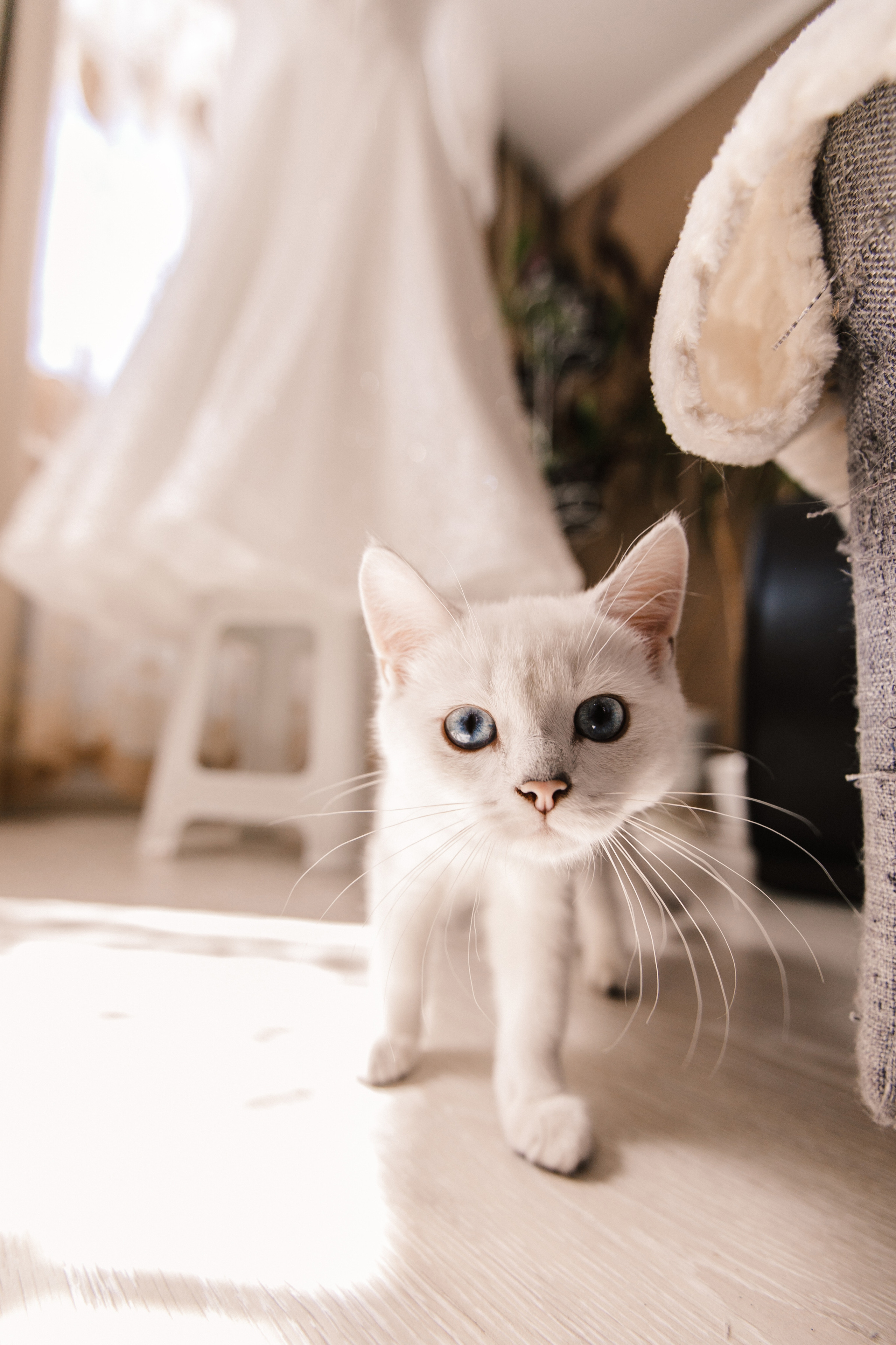 Вячеслав + Вероника. Роман Урумбаев фотограф Нижневартовск