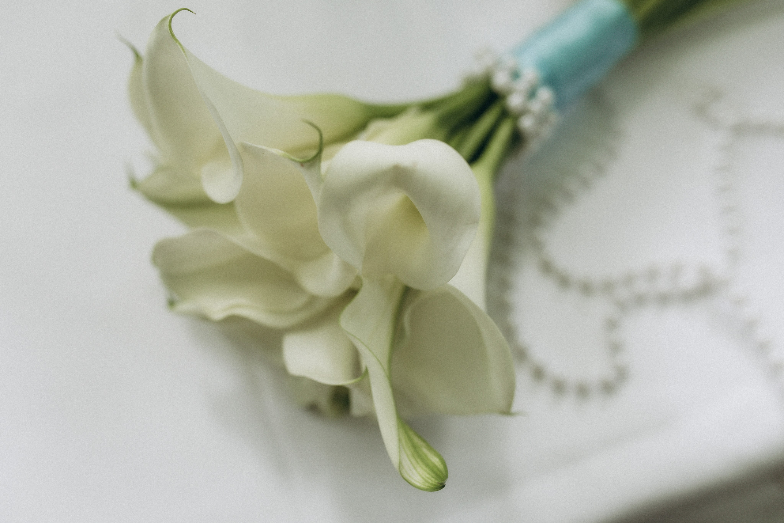 Июльская Любовь. Семейный и свадебный фотограф Анна Кожокарь