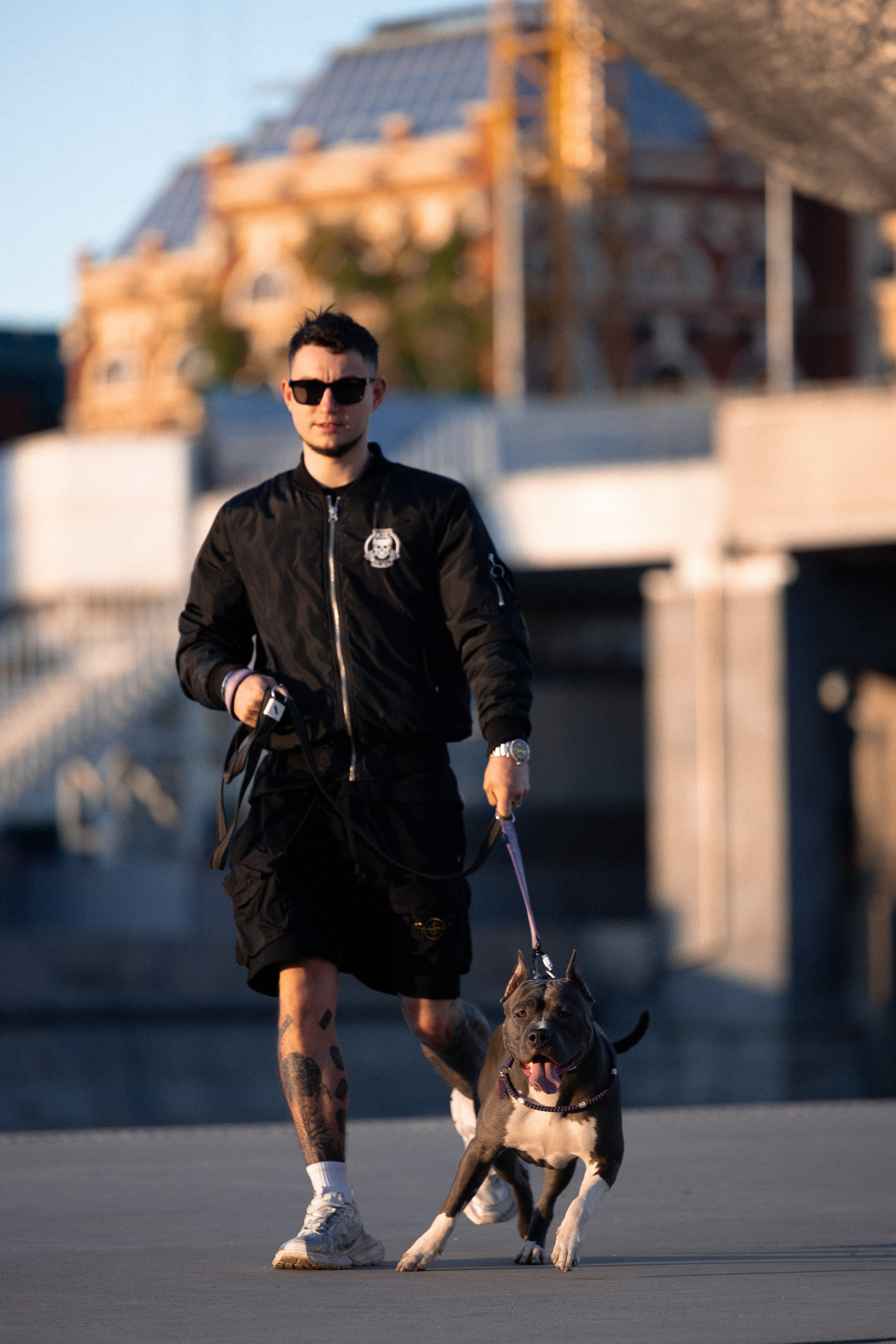 Катя, Леша, Трой и Лея. Фотограф и видеограф анималист Аганина Дарья