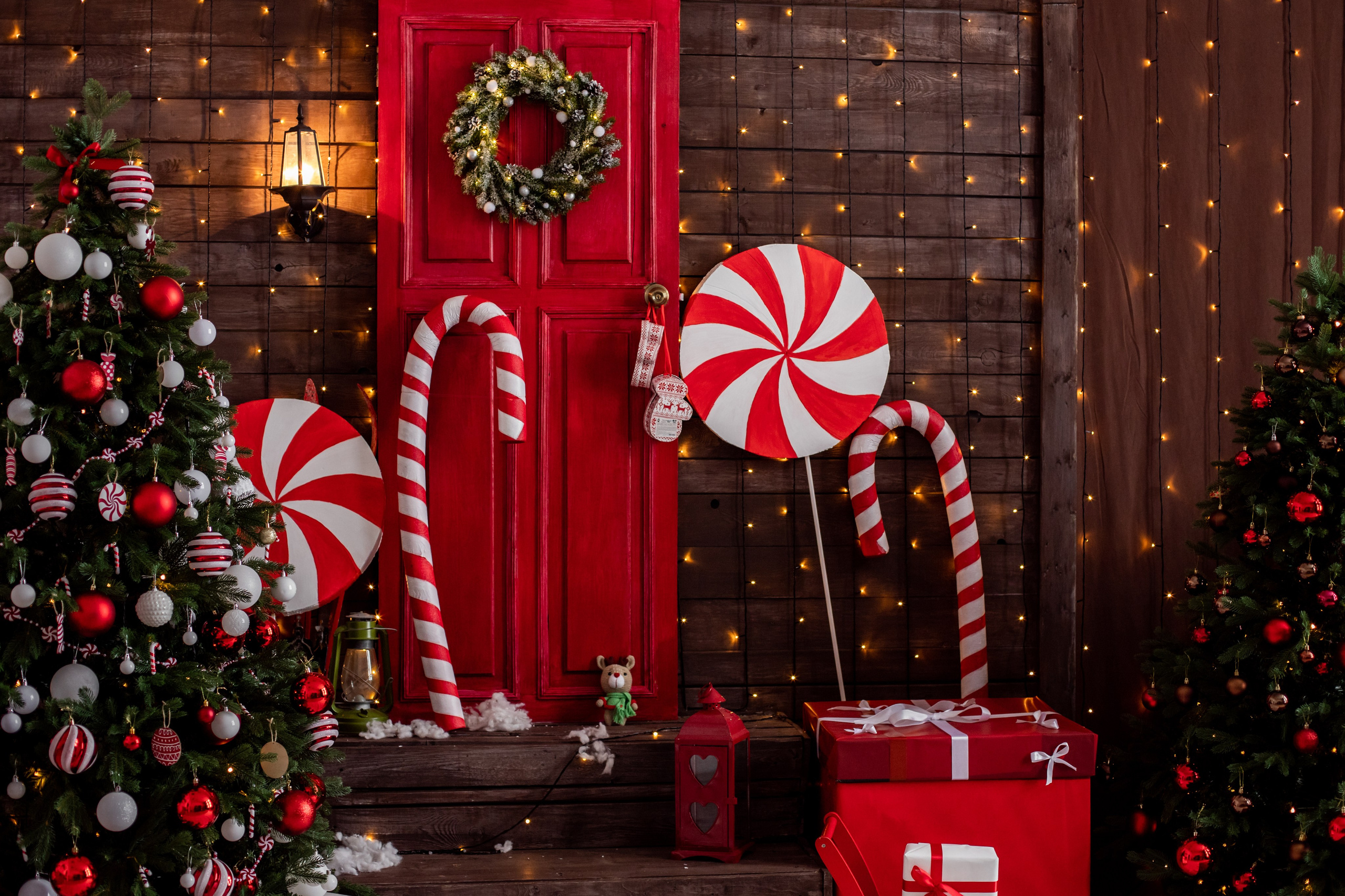 Буфет. Фотограф г. Хабаровск. Семейные и индивидуальные съёмки