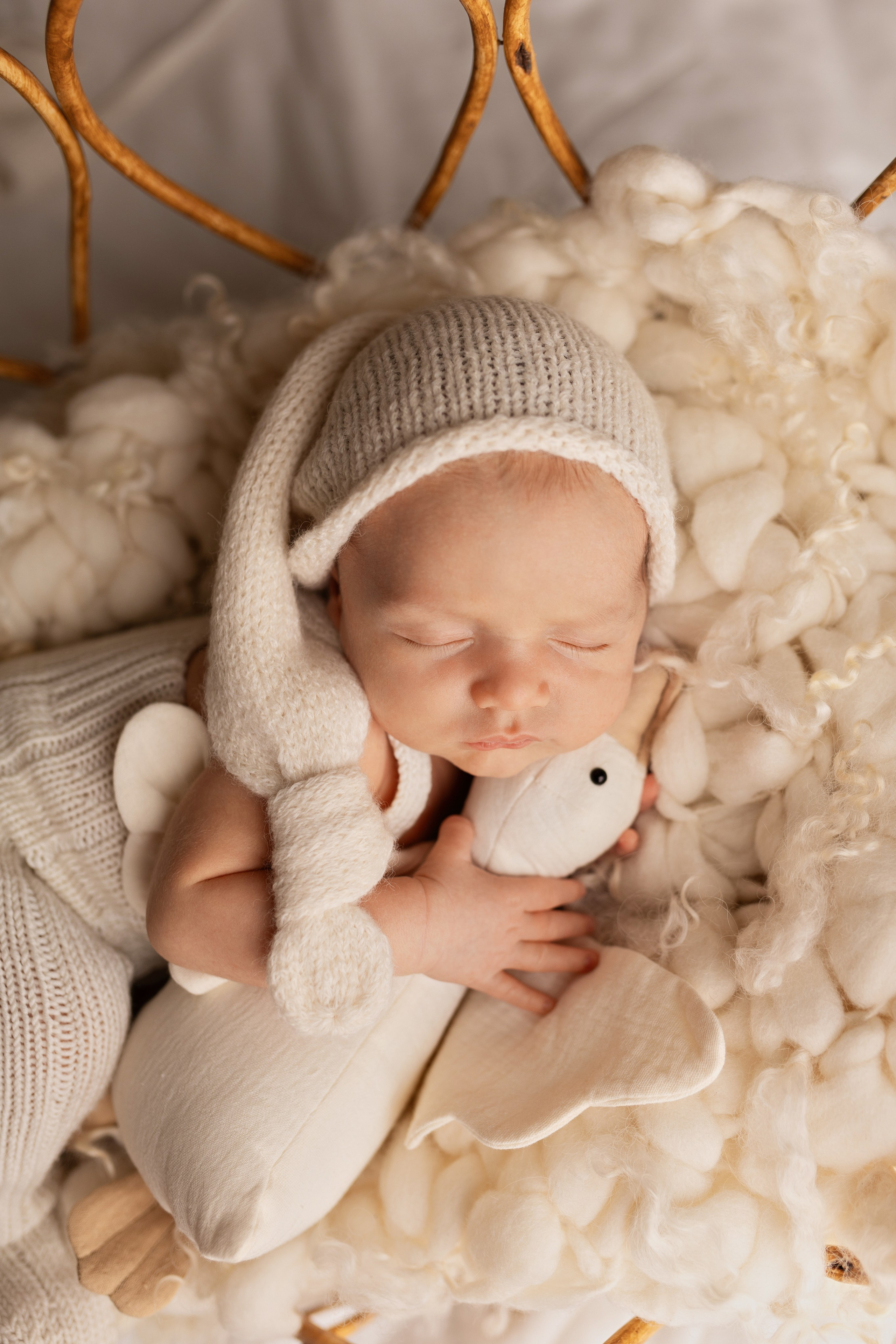 Лев. Лилия Алтухова — фотограф новорожденных в Москве и области