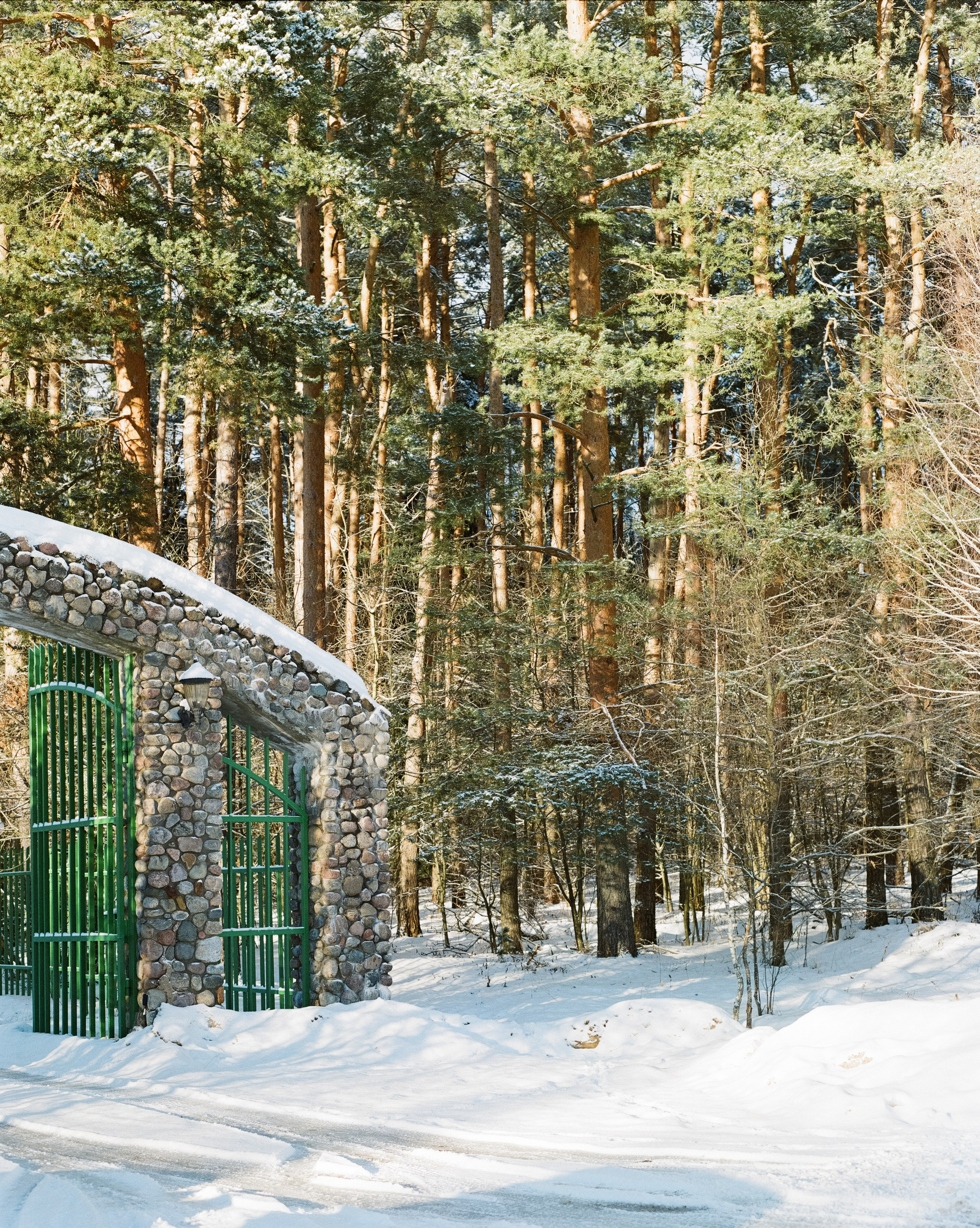 Pentax 67 — SMC Pentax 67 105 mm f/2.4 / Kodak Portra 800 / 3 января Лукино