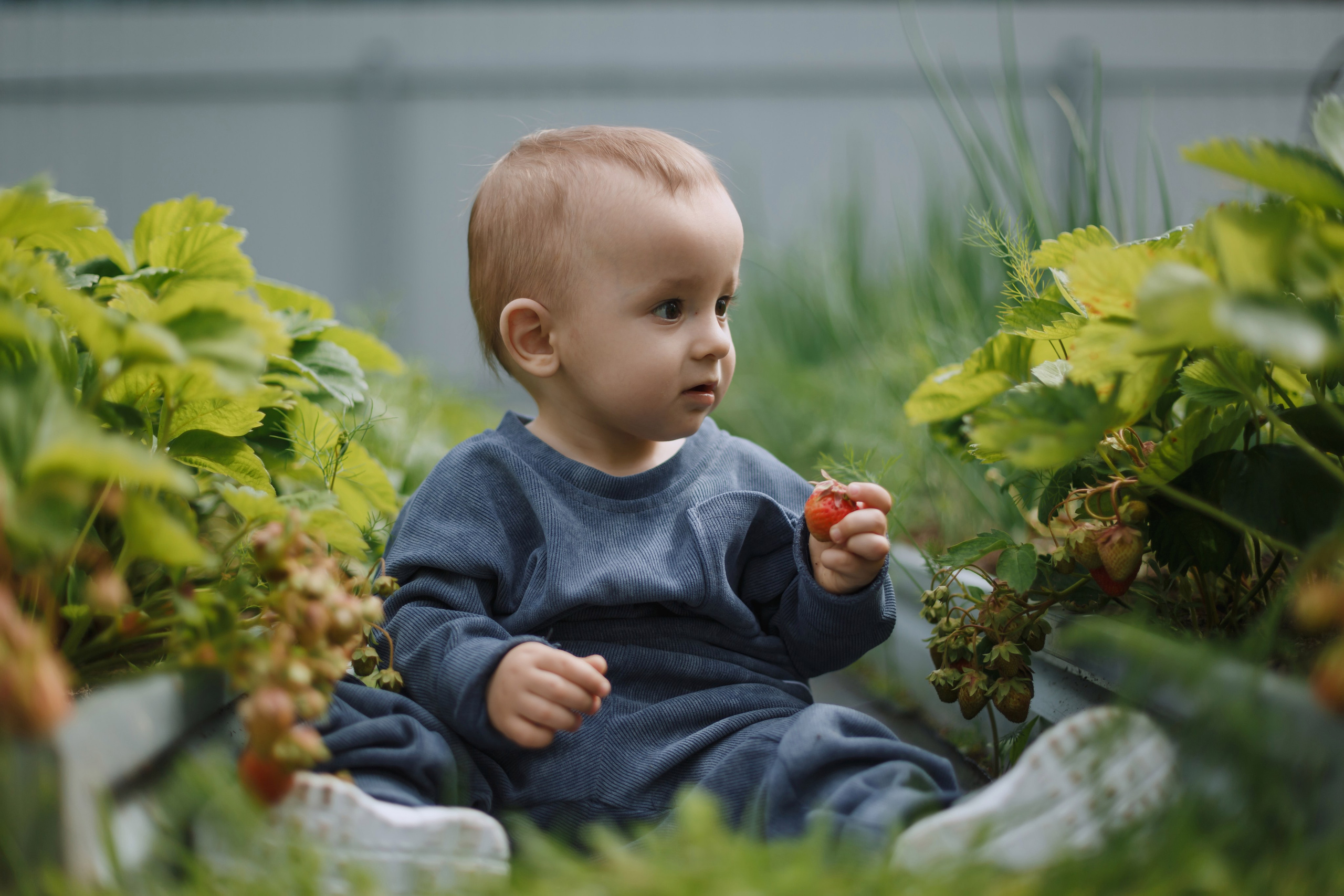 Большое Олино семейство. Профессиональный фотограф Надежда Антонова