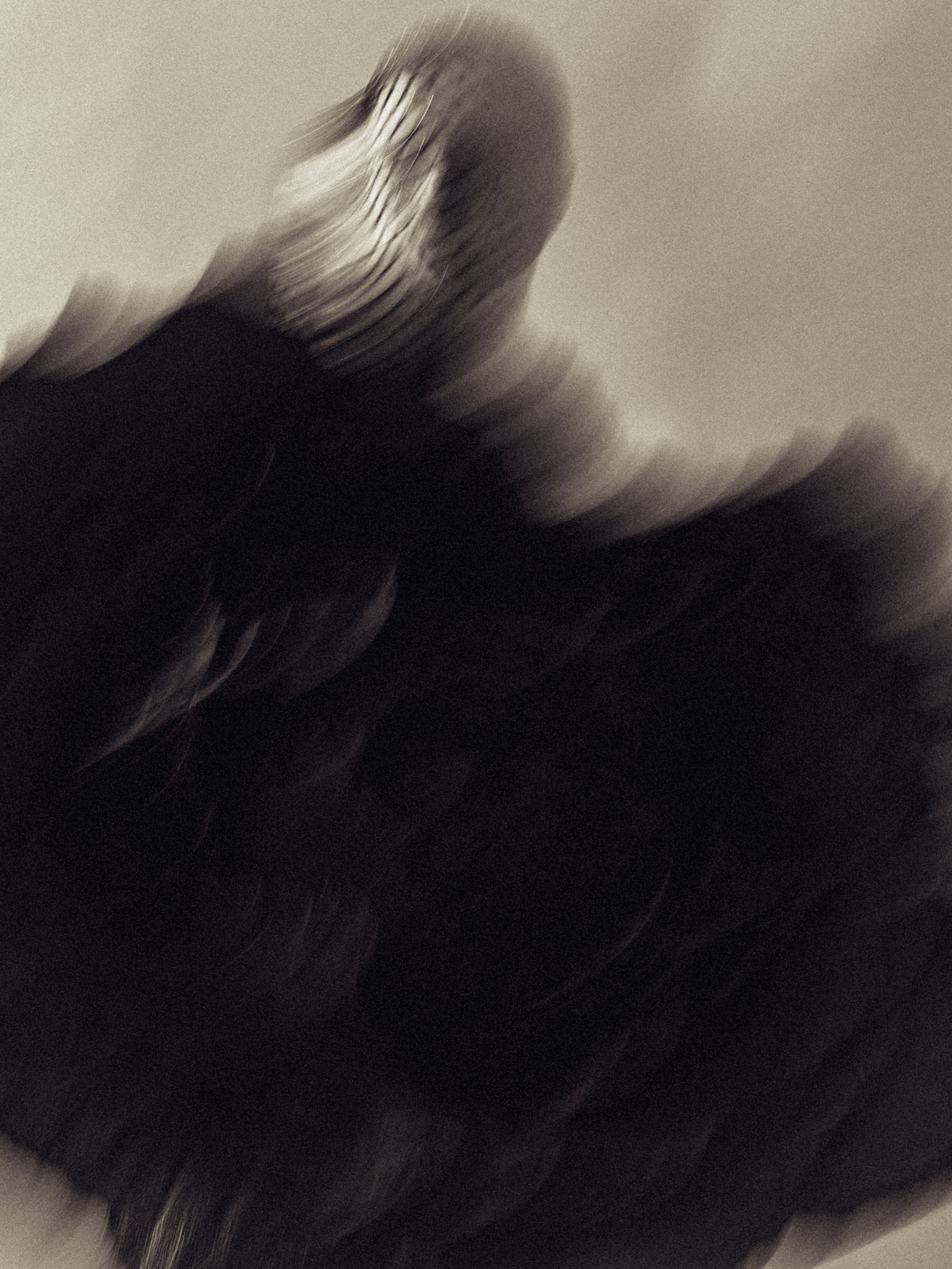 София. ФОТОГРАФ Гульнура Касенова