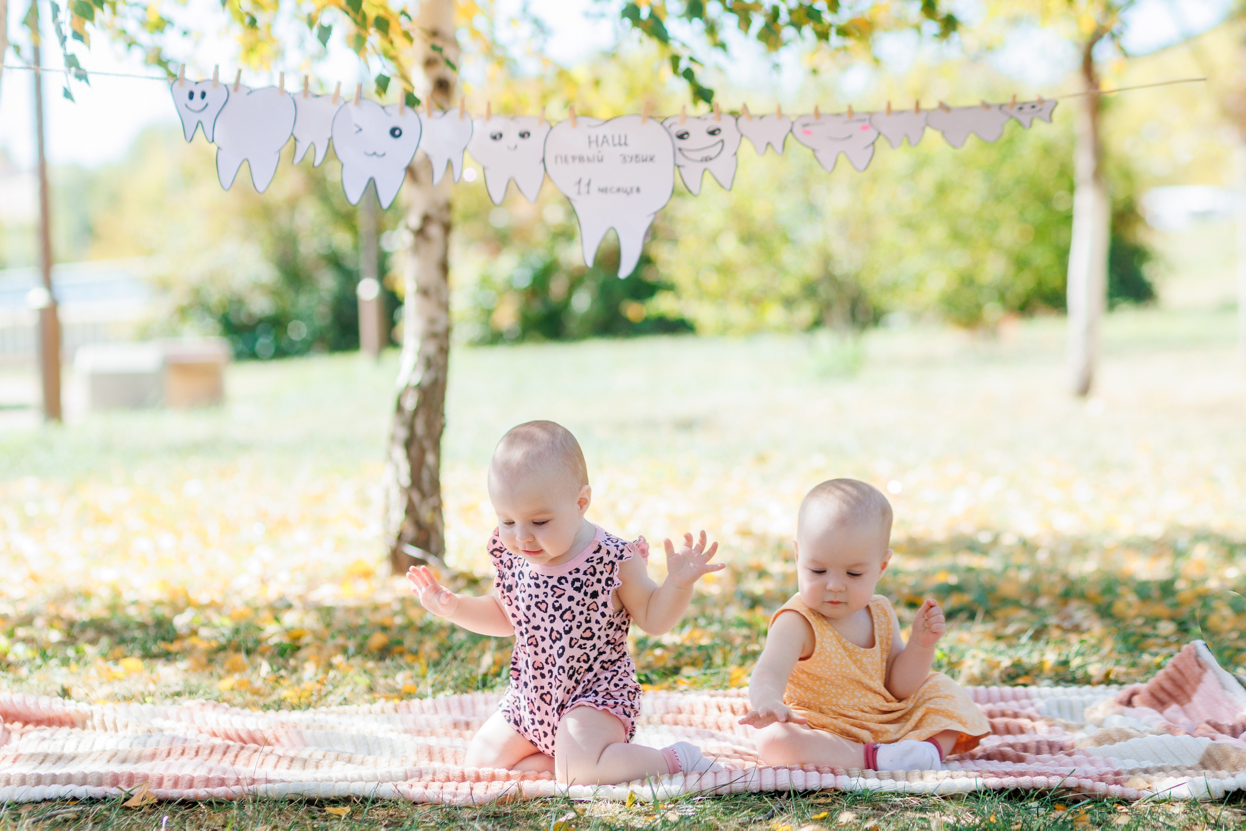 Первый зубик. Свадебный и семейный фотограф в Армавире