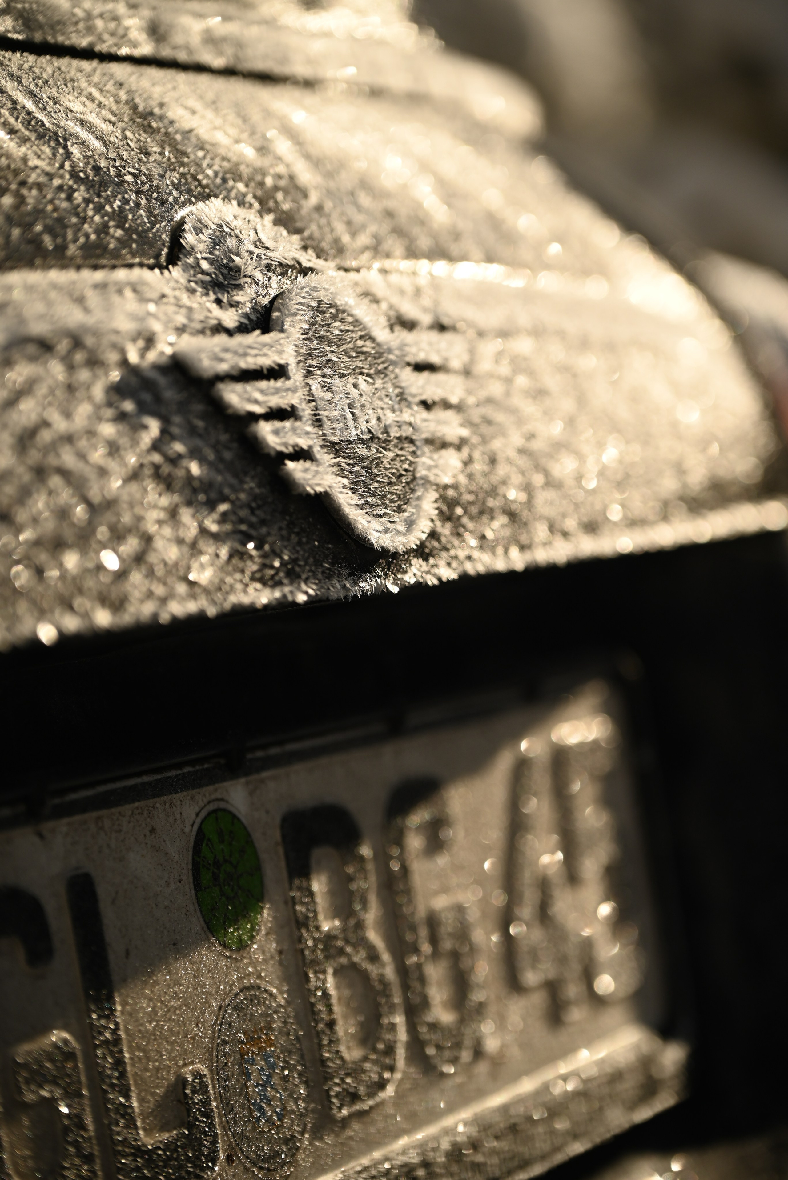 Auto. Андрей Пиотровский. Фотограф