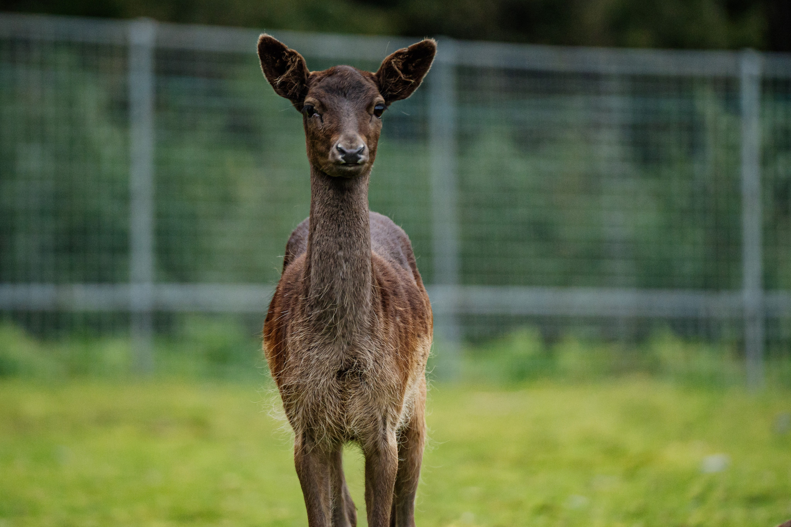 СЕВЕР. Event фотограф Степанова Александра