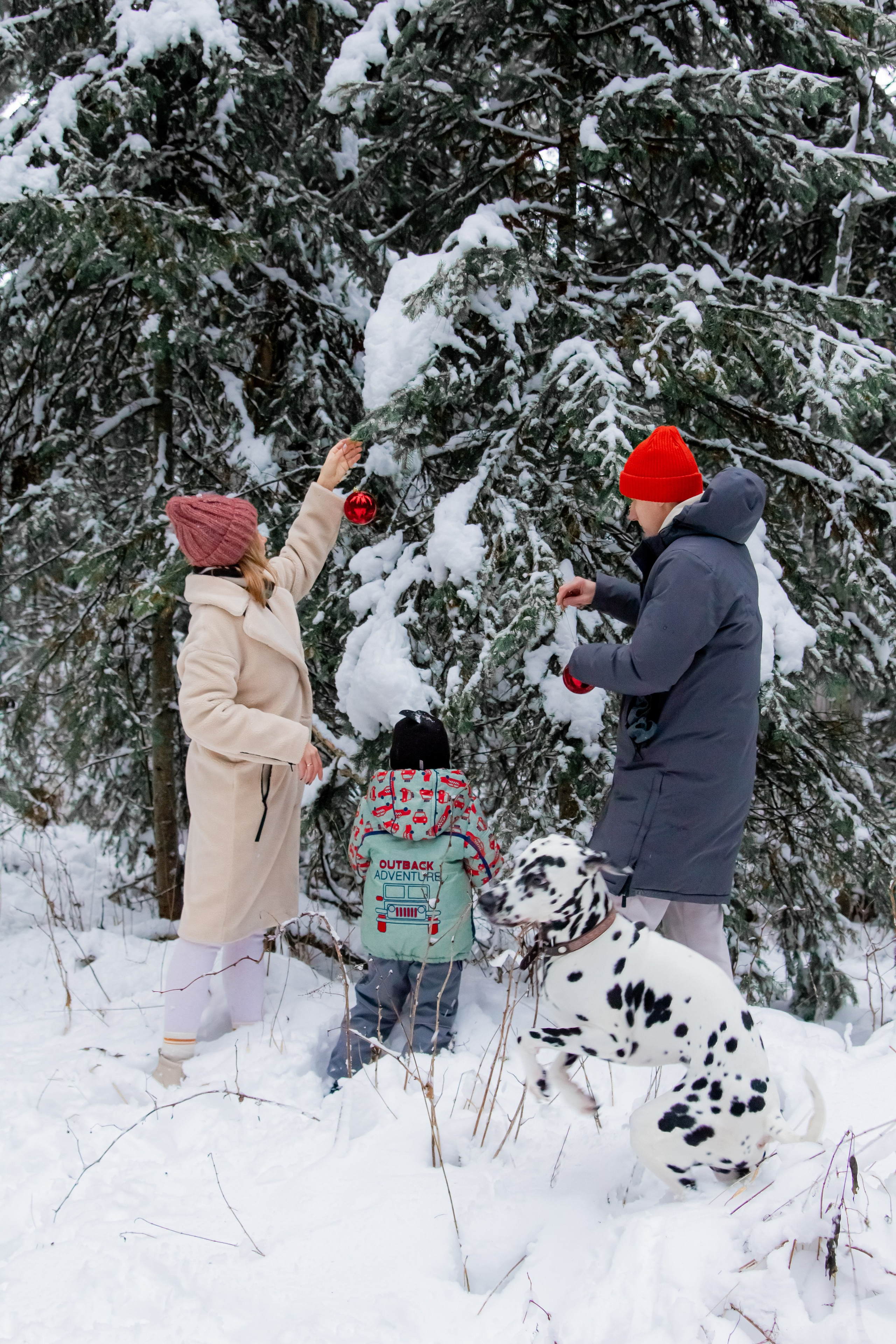 Саша, Дима, Лёня и Шерлок :). Екатерина Пашкова, фотограф, видеограф в Томске