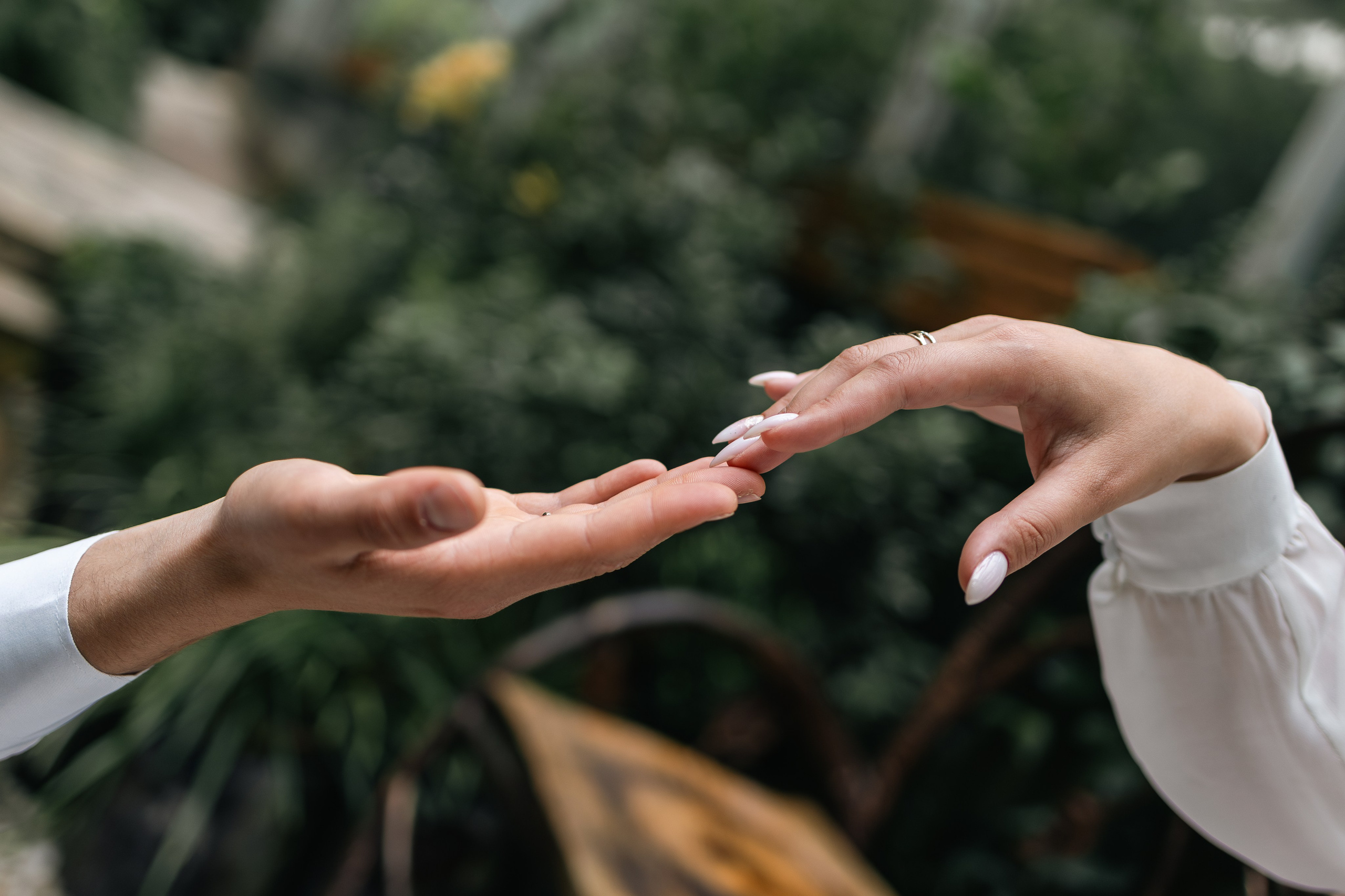 Анастасия и Никита. Екатерина Пашкова, фотограф, видеограф в Томске