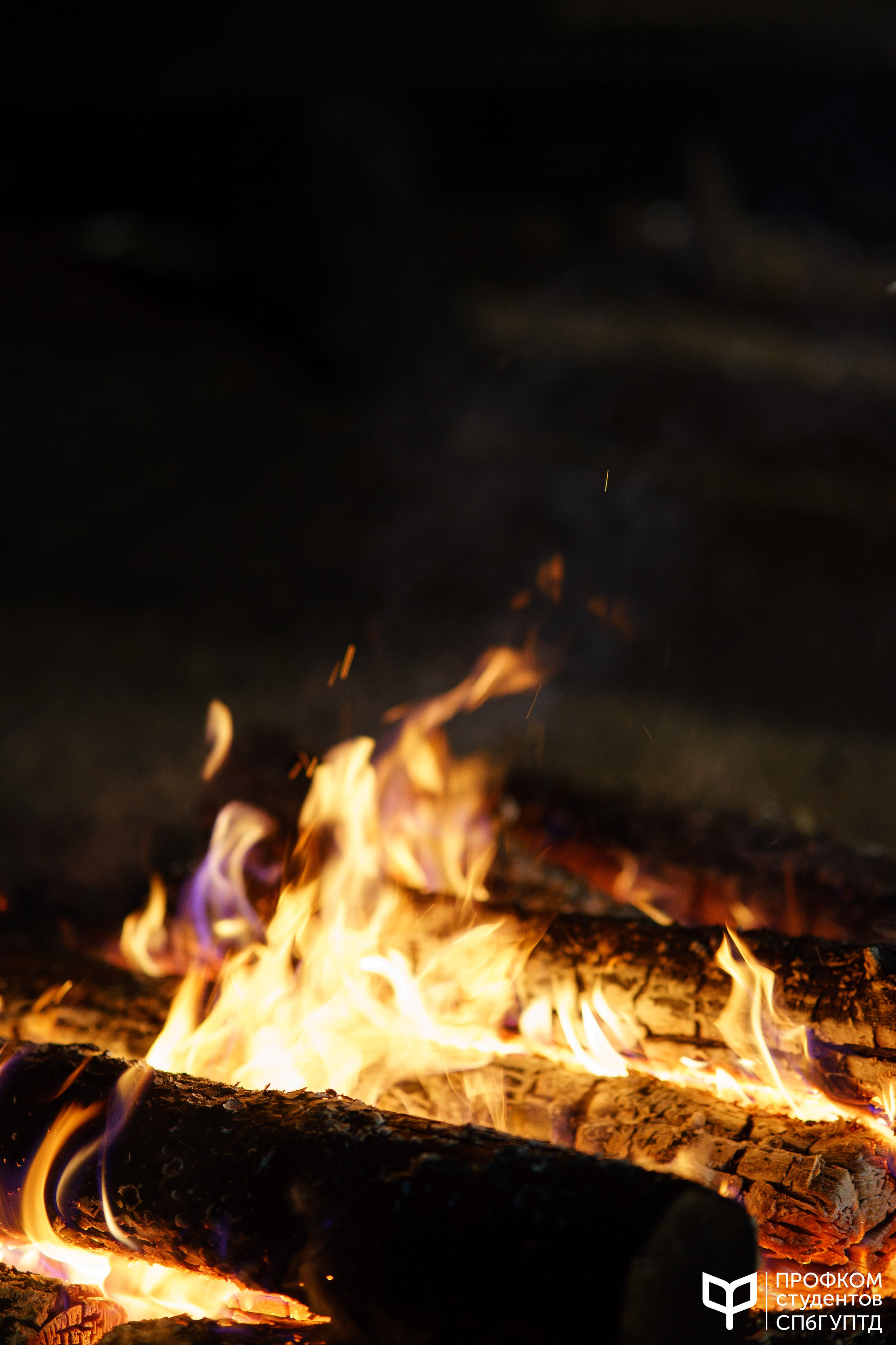 Репортаж студенческого выезда «ШАСЛ 2024». Фотограф в Санкт-Петербурге Ибрагимова Алина