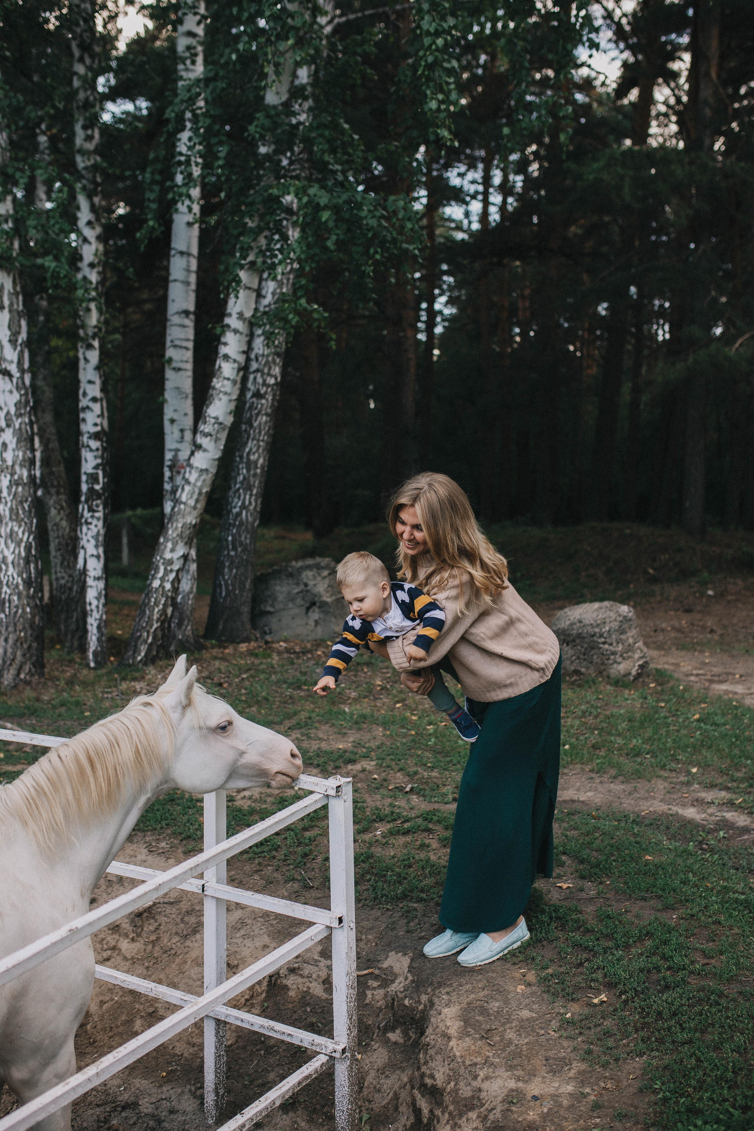 «Ма, па, поехали на лошадок смотреть!». Свадебный фотограф Новосибирск