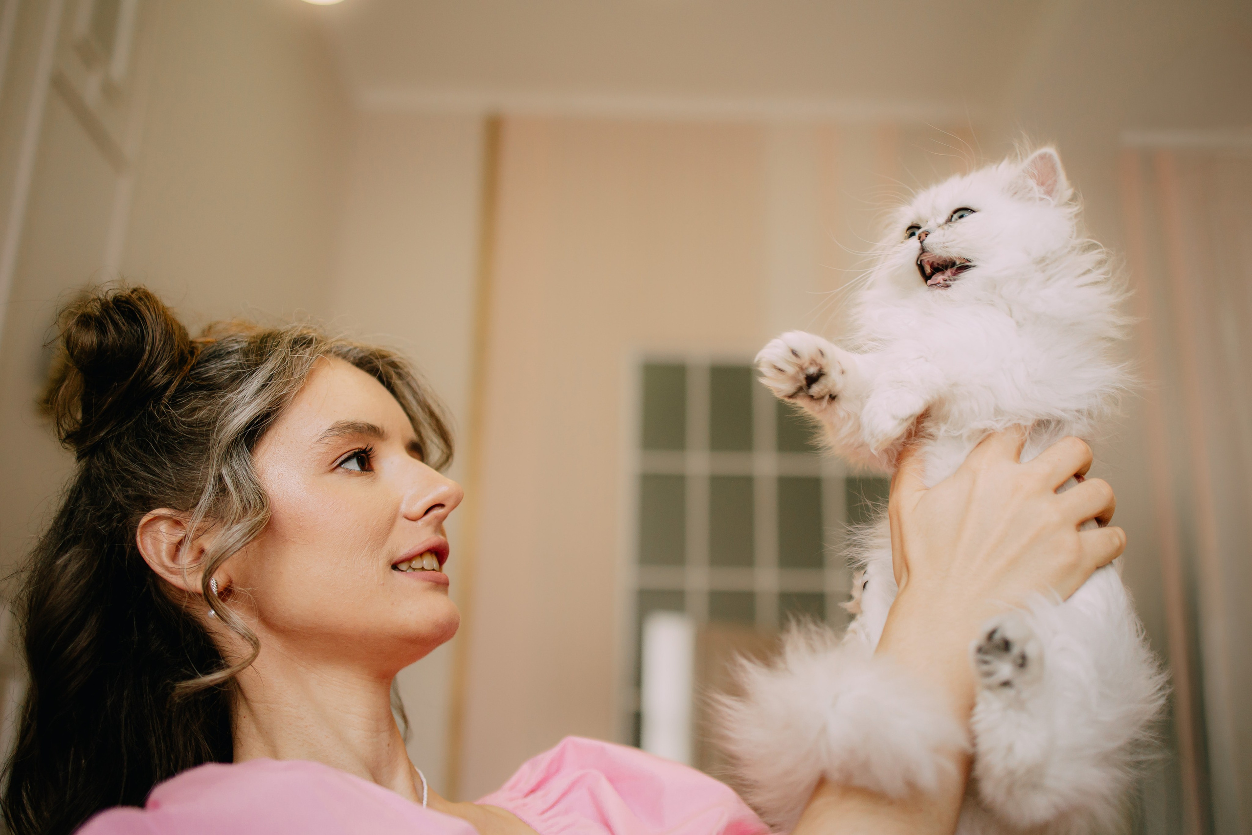 Султан, Мэй Мэй и Шанталь и их семья