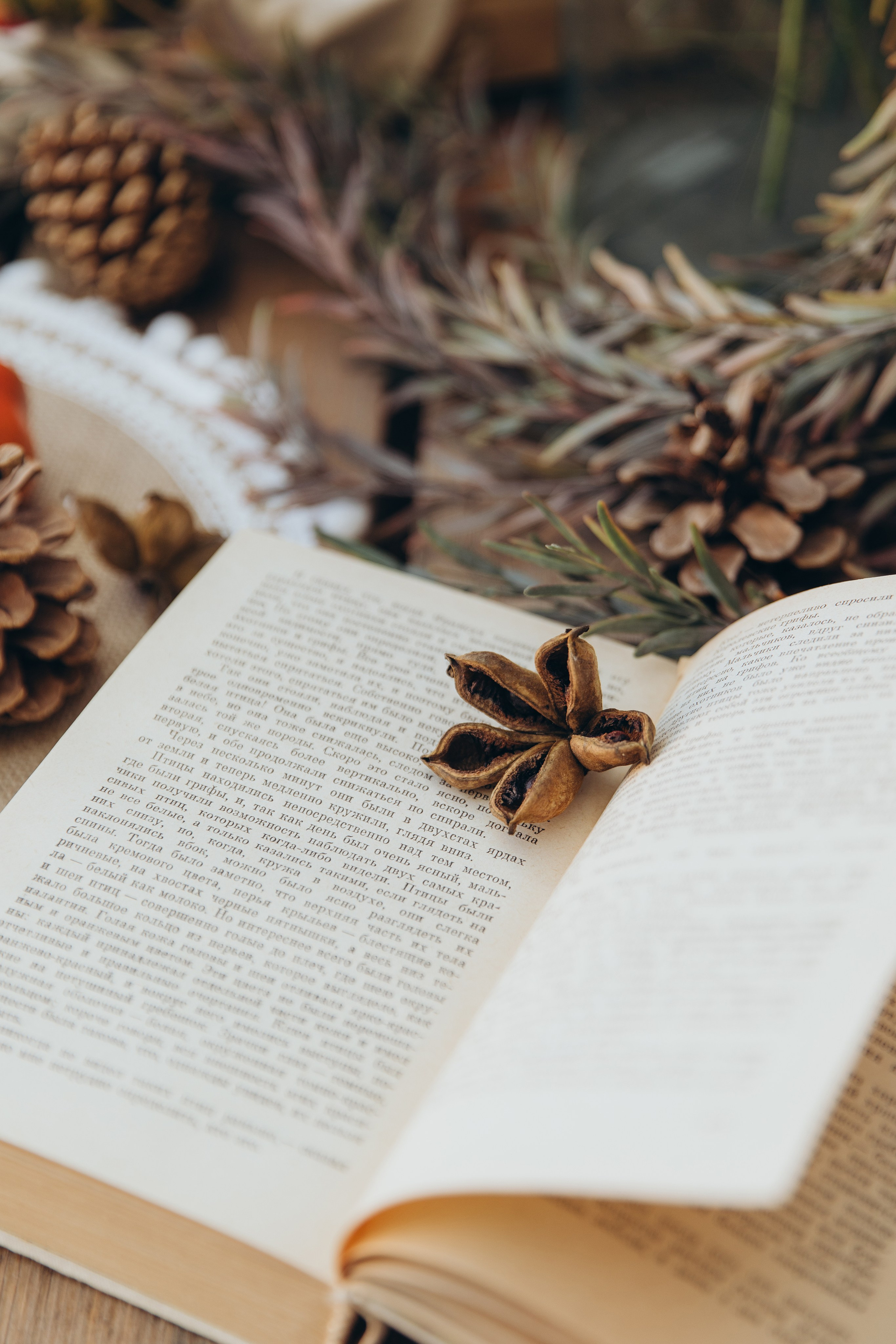 Уличная локация «ТЕРАССА». Фотостудия в Мариуполе «Берлога»