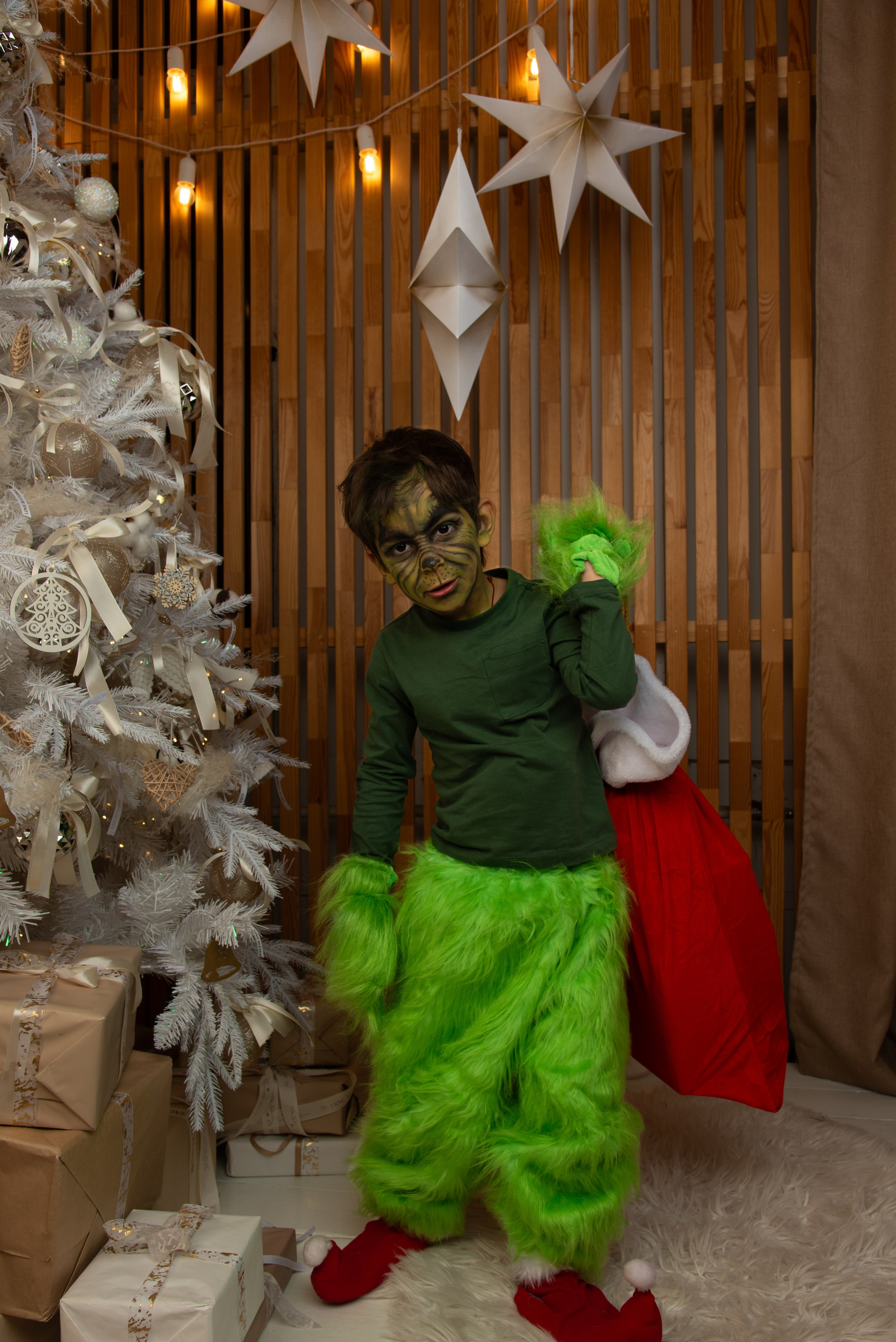 Новый Год. Гринч. Портретный Семейный Fine-Art фотограф в Санкт-Петербурге Криулина